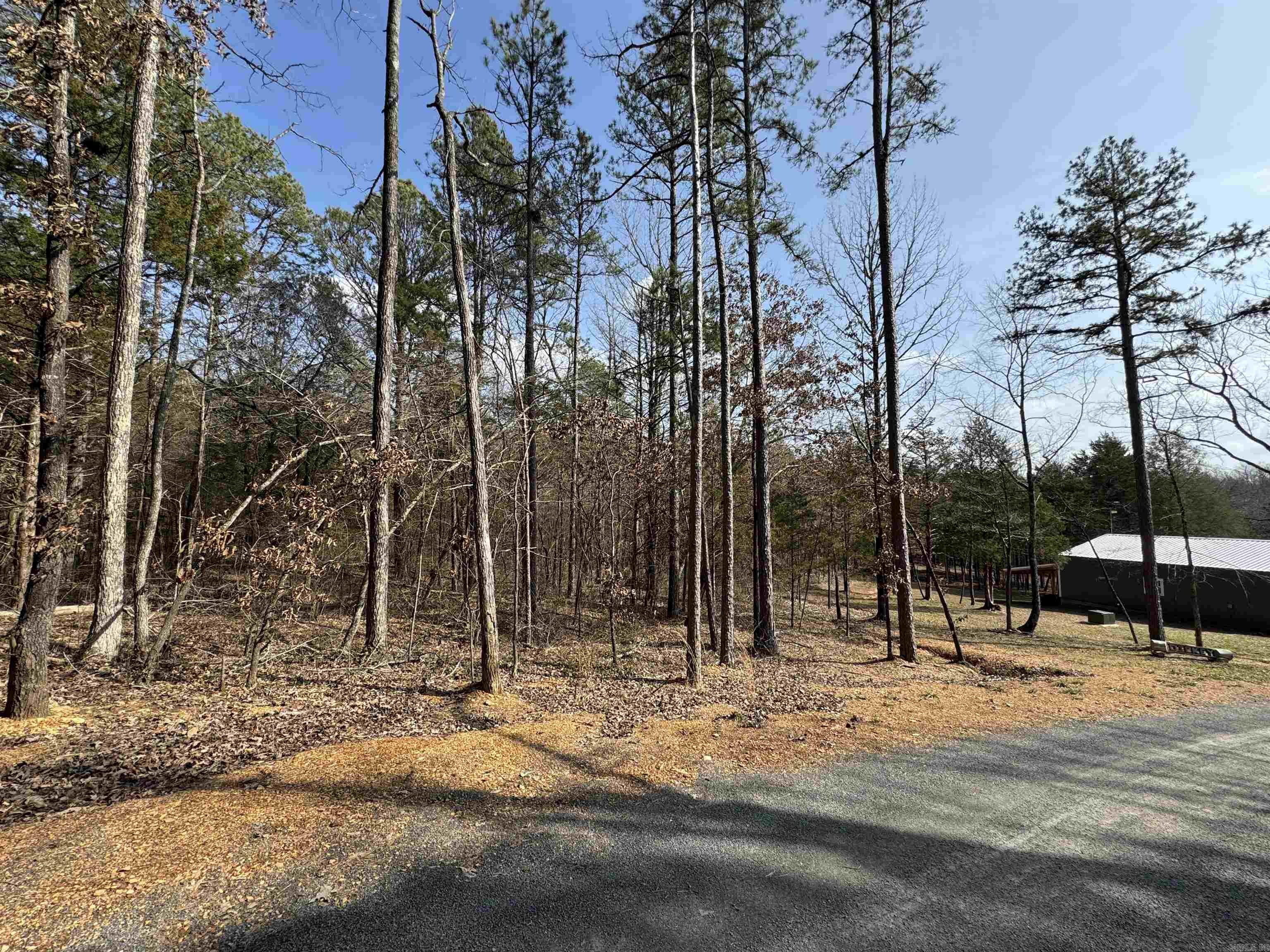 3306 Black Hill Road  Bee Branch, AR
