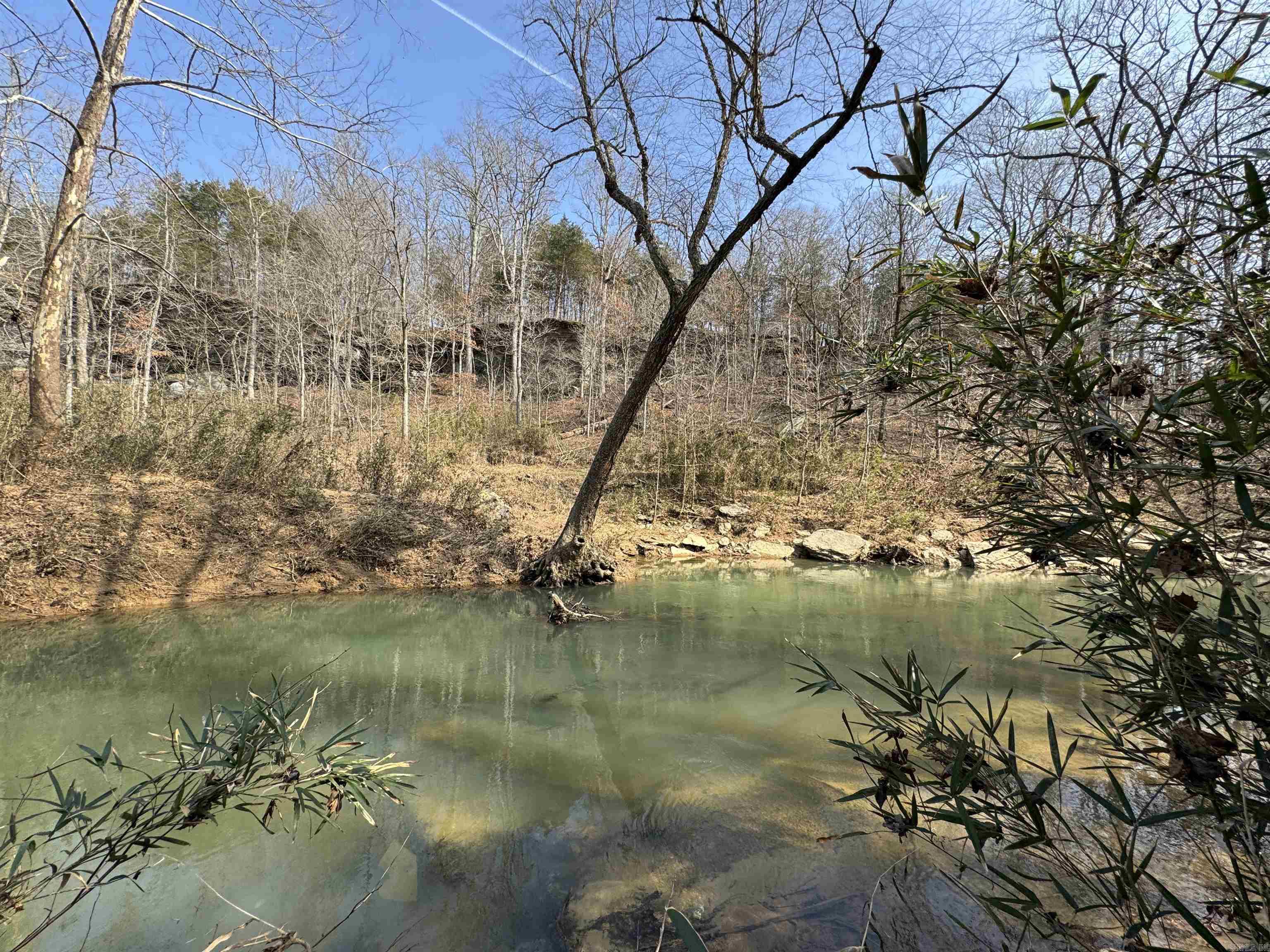 3306 Black Hill Road  Bee Branch, AR