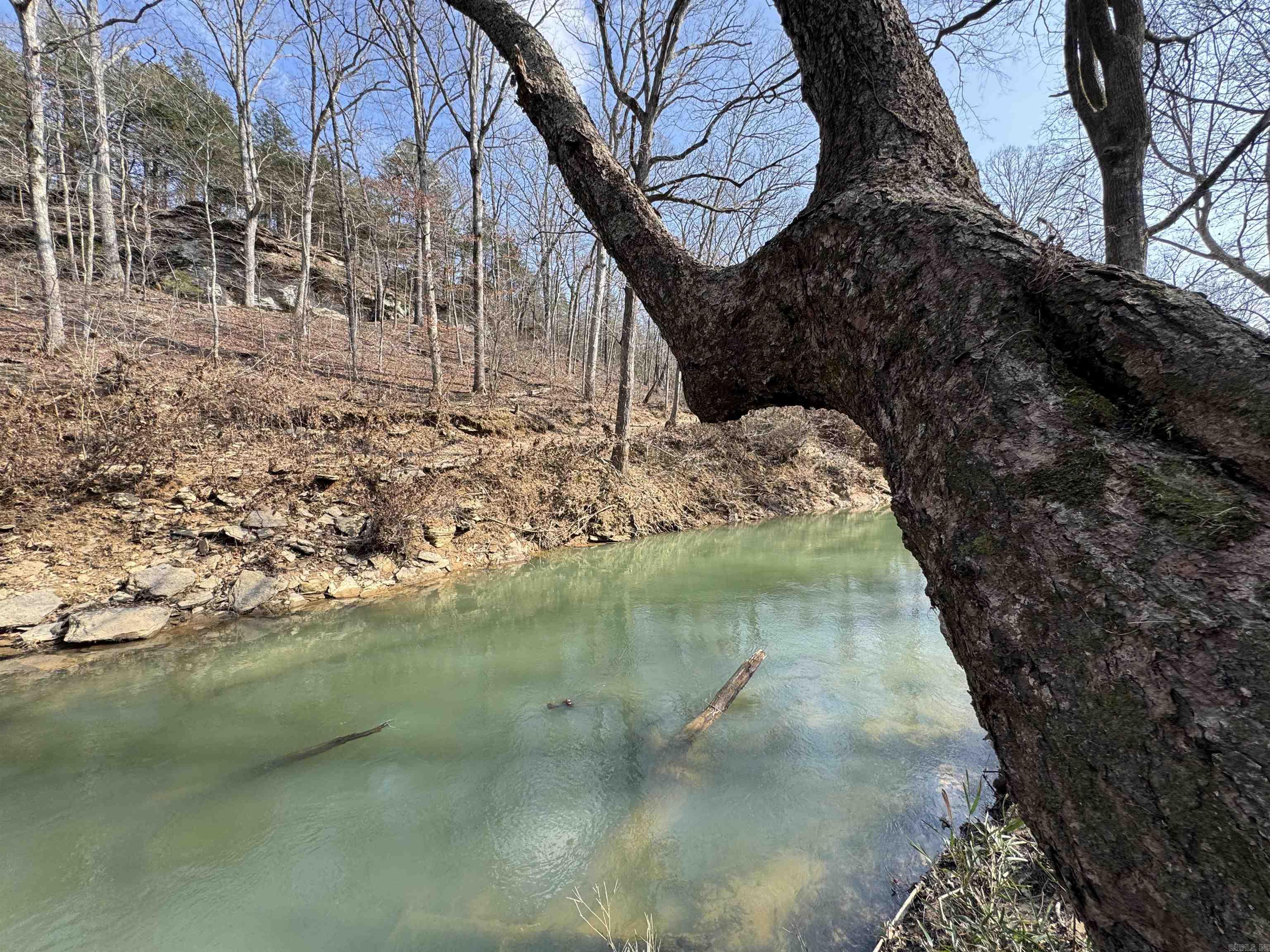 3306 Black Hill Road  Bee Branch, AR