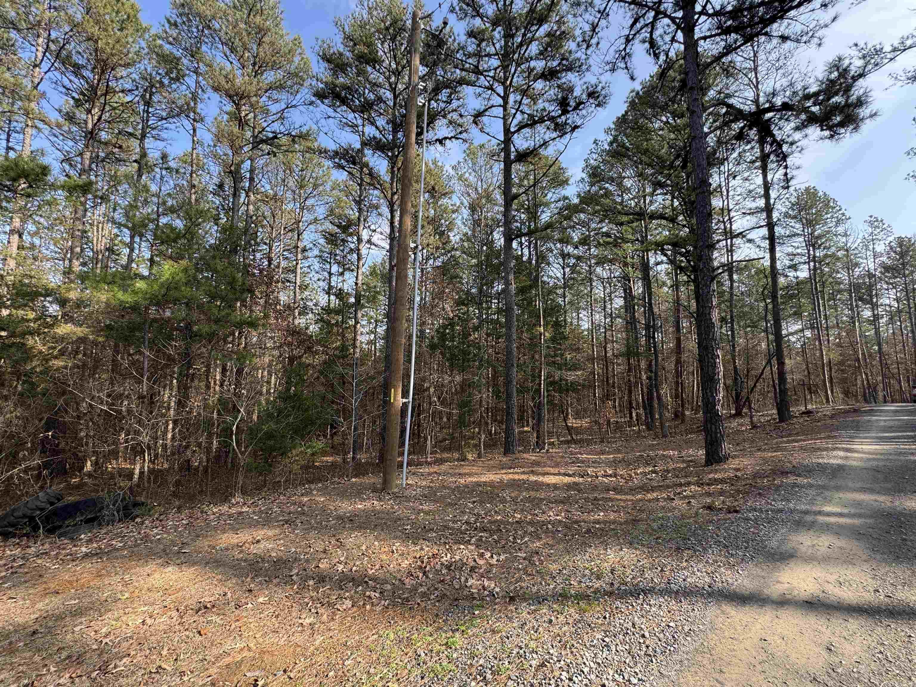 3306 Black Hill Road  Bee Branch, AR