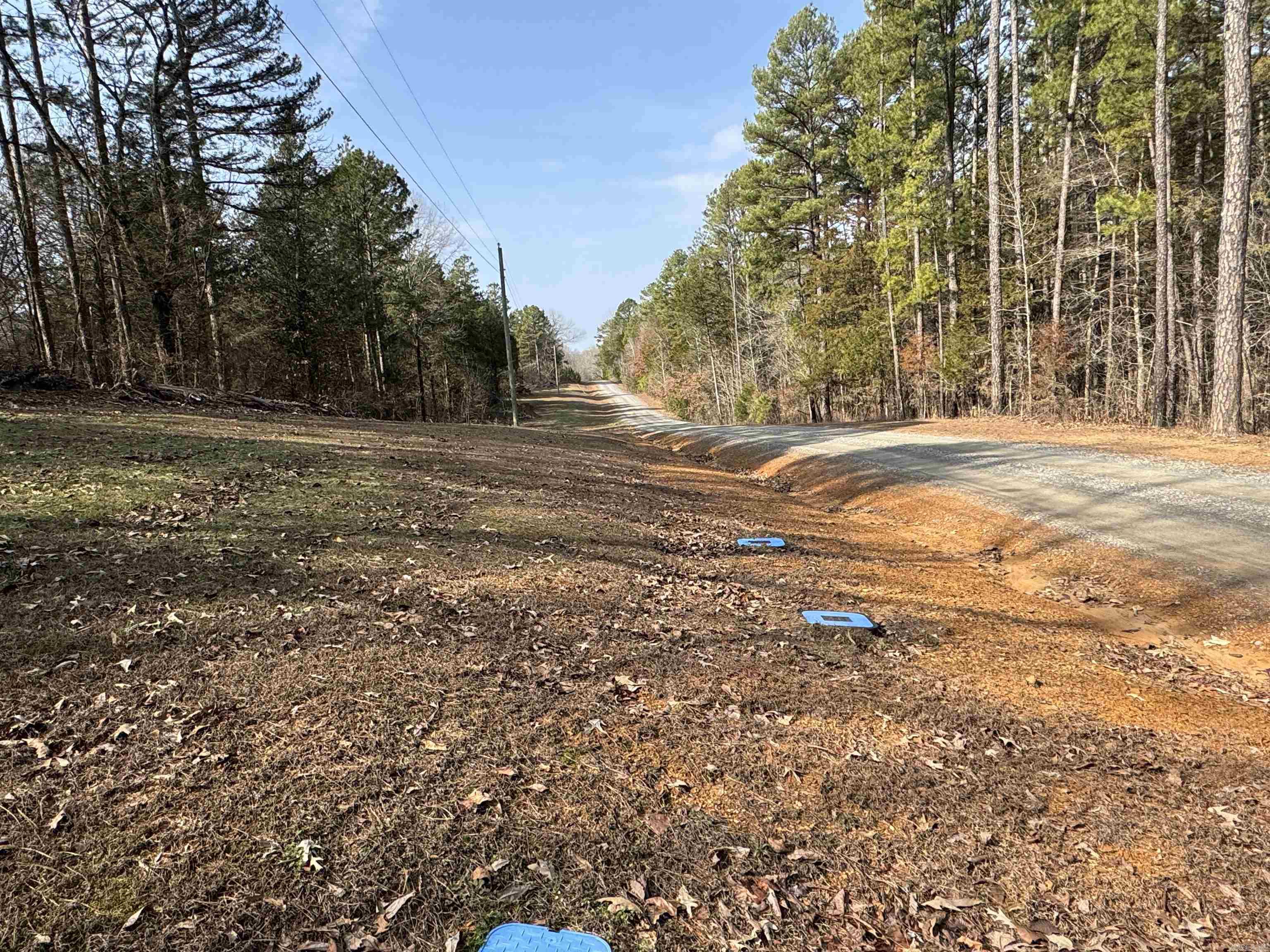3306 Black Hill Road  Bee Branch, AR