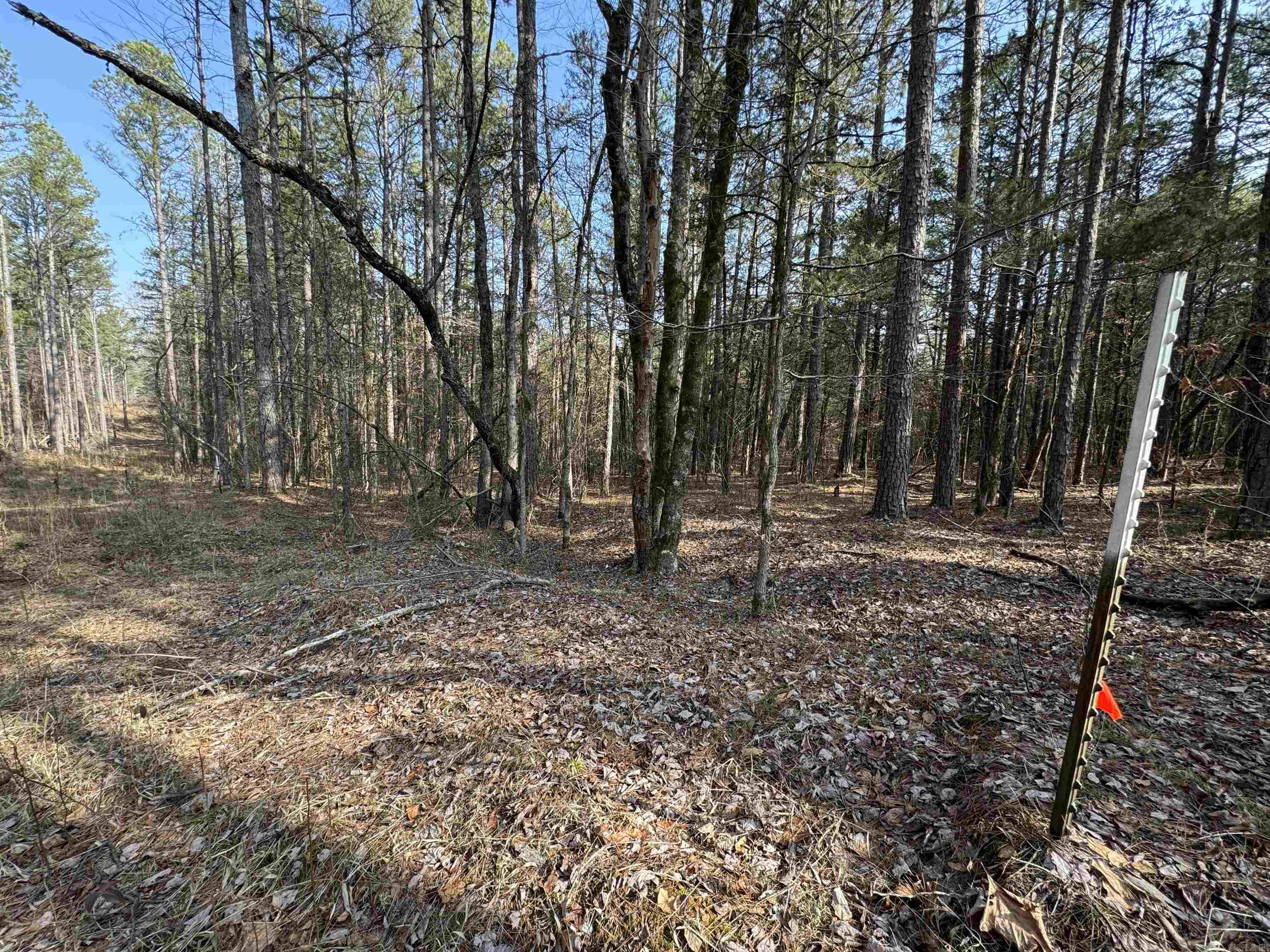3306 Black Hill Road  Bee Branch, AR
