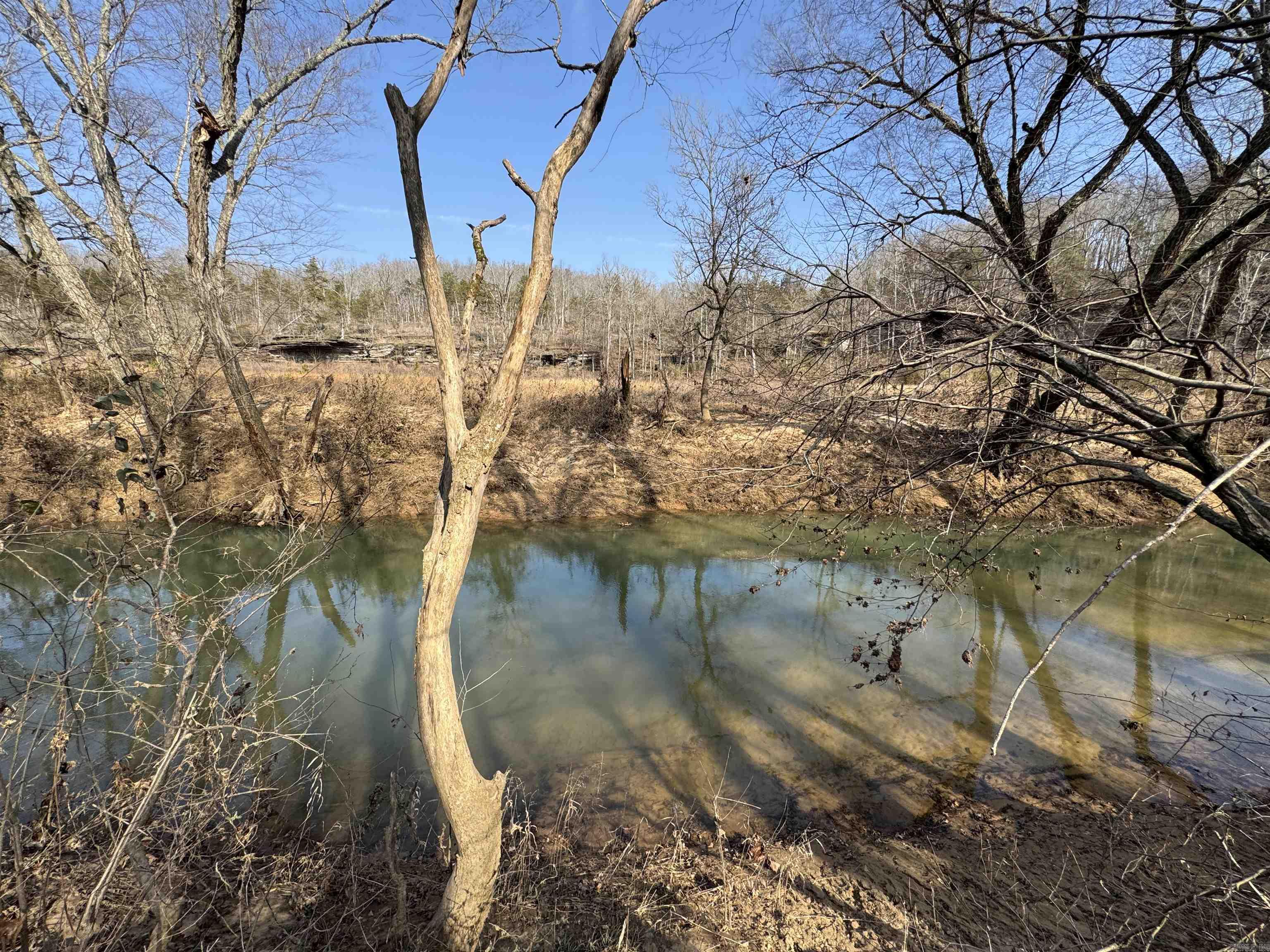 3306 Black Hill Road  Bee Branch, AR