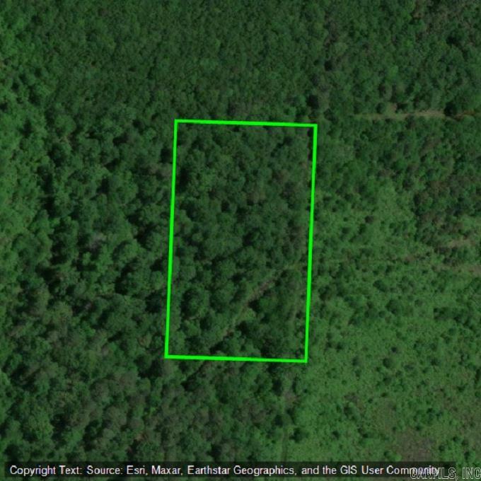 5 acres Highway 29  Bradley, AR