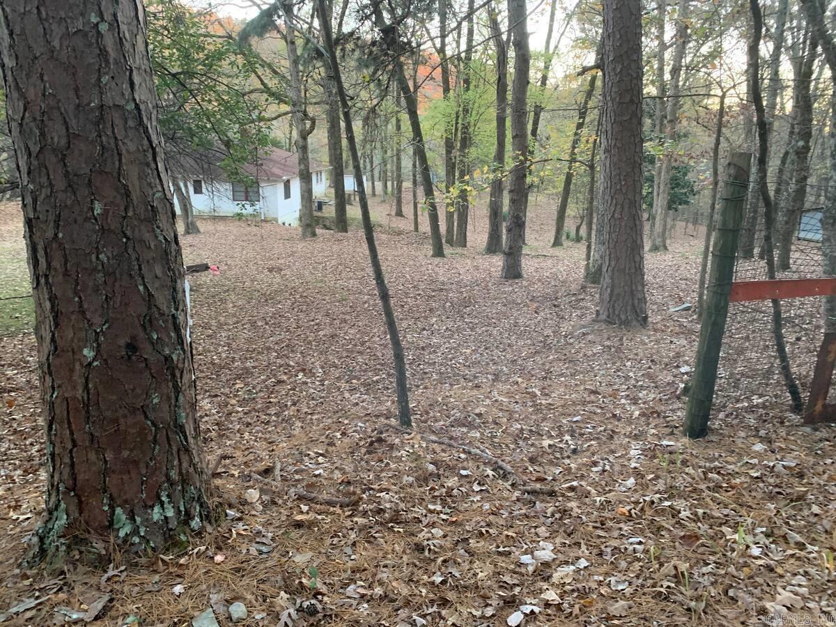 450 Cedarglades Rd  Hot Springs, AR