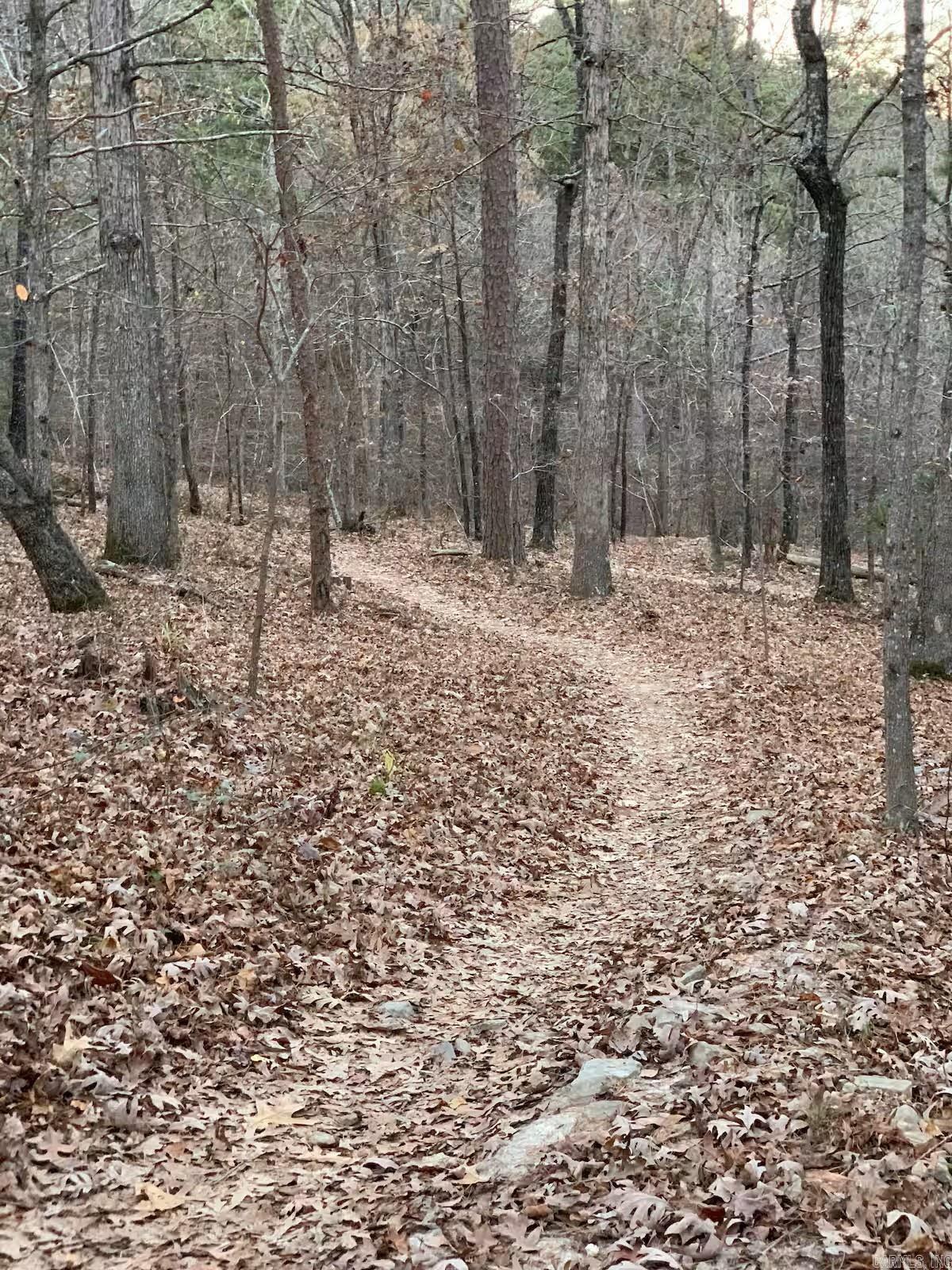 450 Cedarglades Rd  Hot Springs, AR