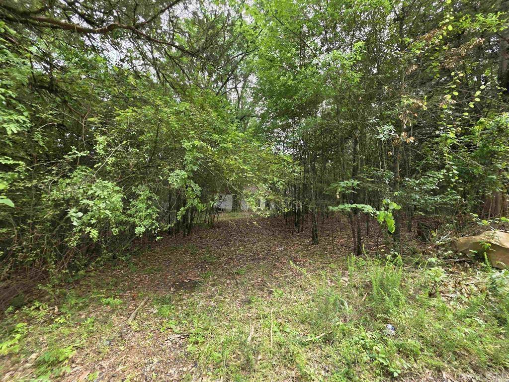 441 Polk Road 30  Hatfield, AR