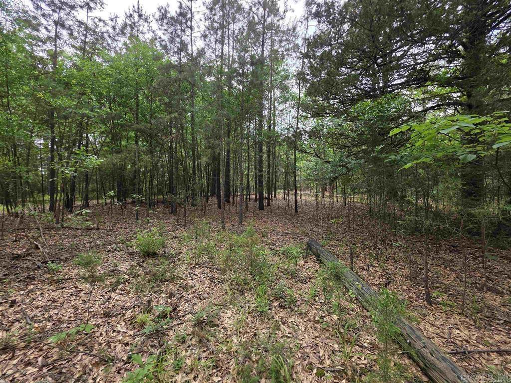441 Polk Road 30  Hatfield, AR