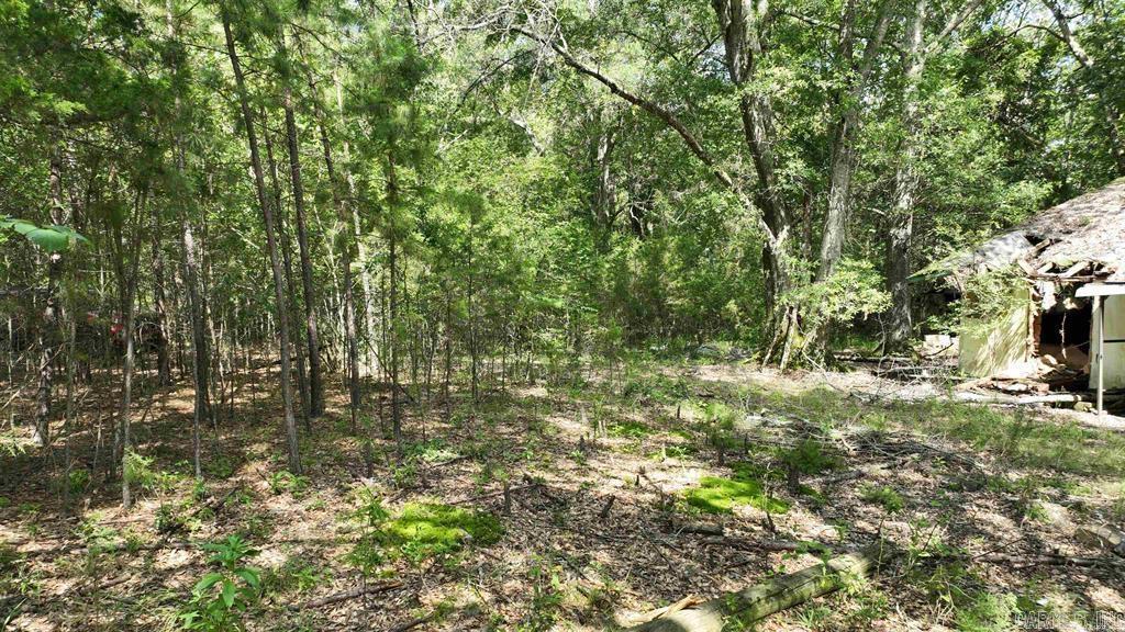 441 Polk Road 30  Hatfield, AR