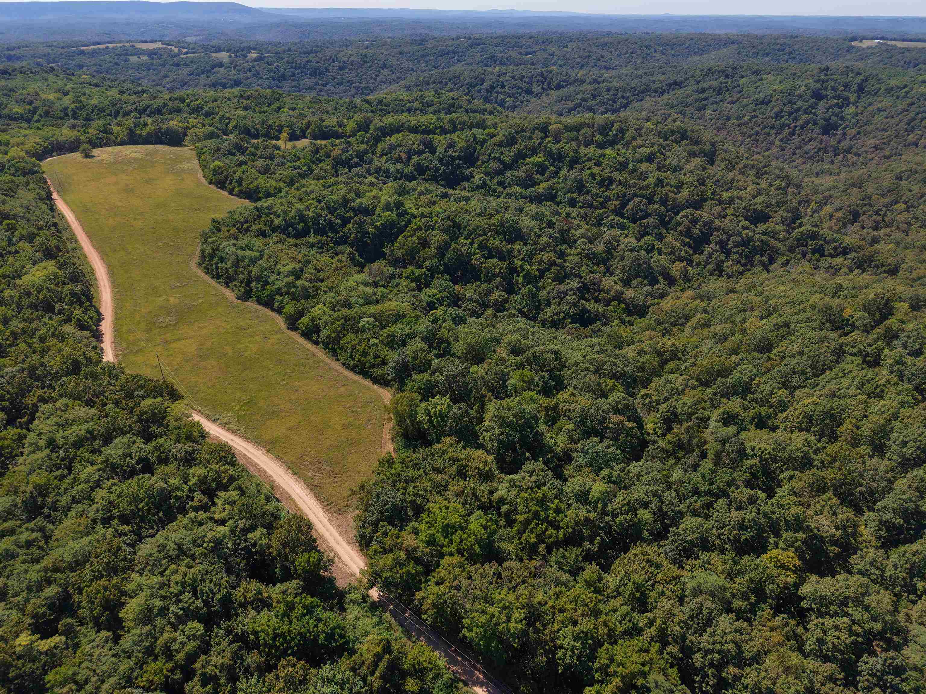 115A Love Hollow Road  Mount Pleasant, AR