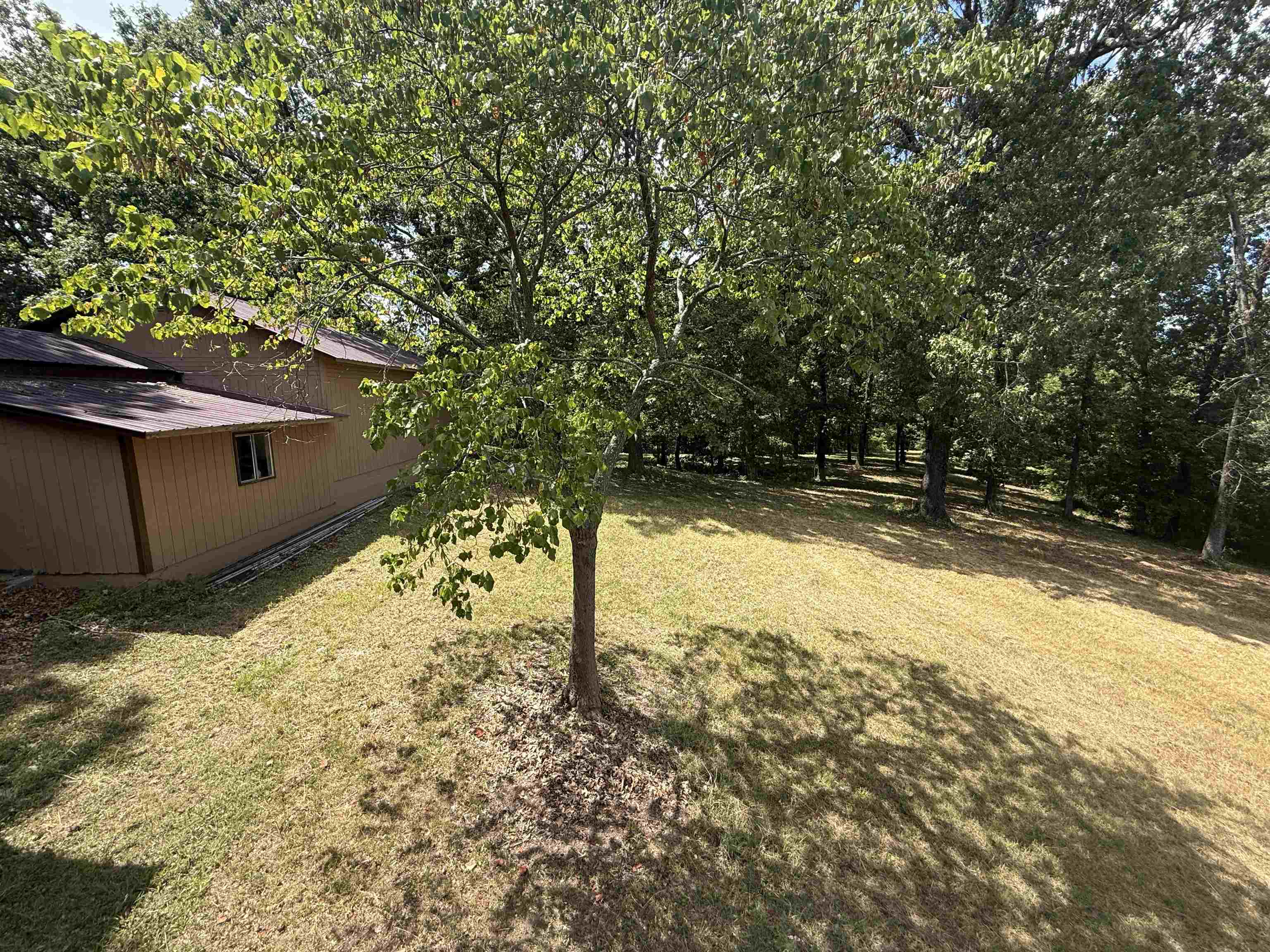 115A Love Hollow Road  Mount Pleasant, AR