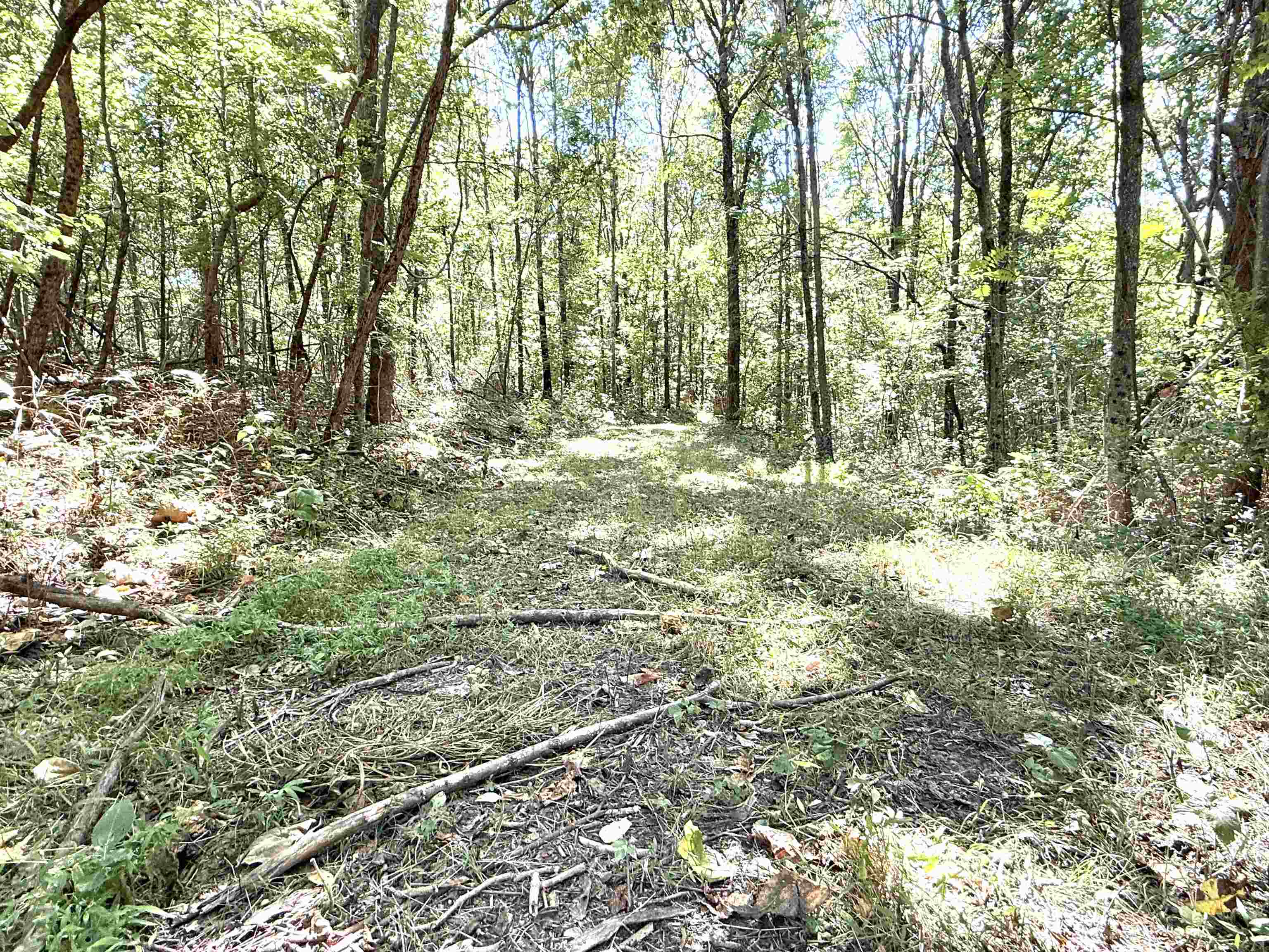115A Love Hollow Road  Mount Pleasant, AR
