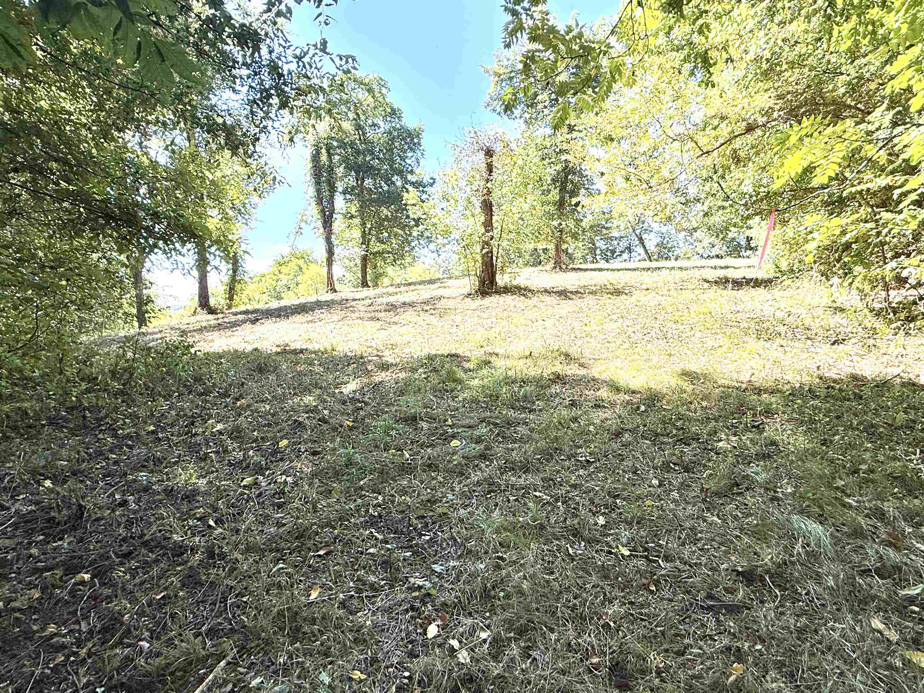 115A Love Hollow Road  Mount Pleasant, AR