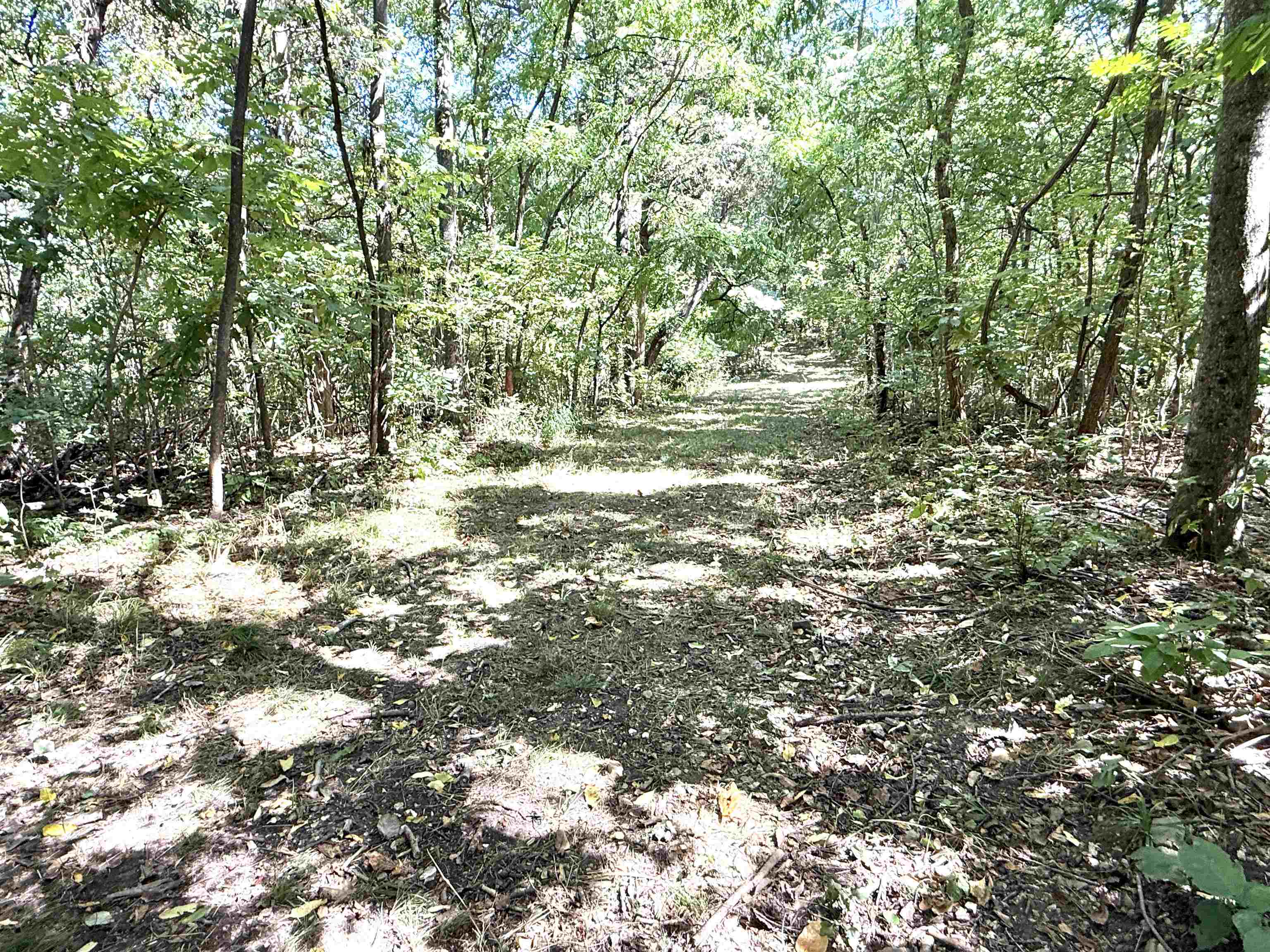 115A Love Hollow Road  Mount Pleasant, AR