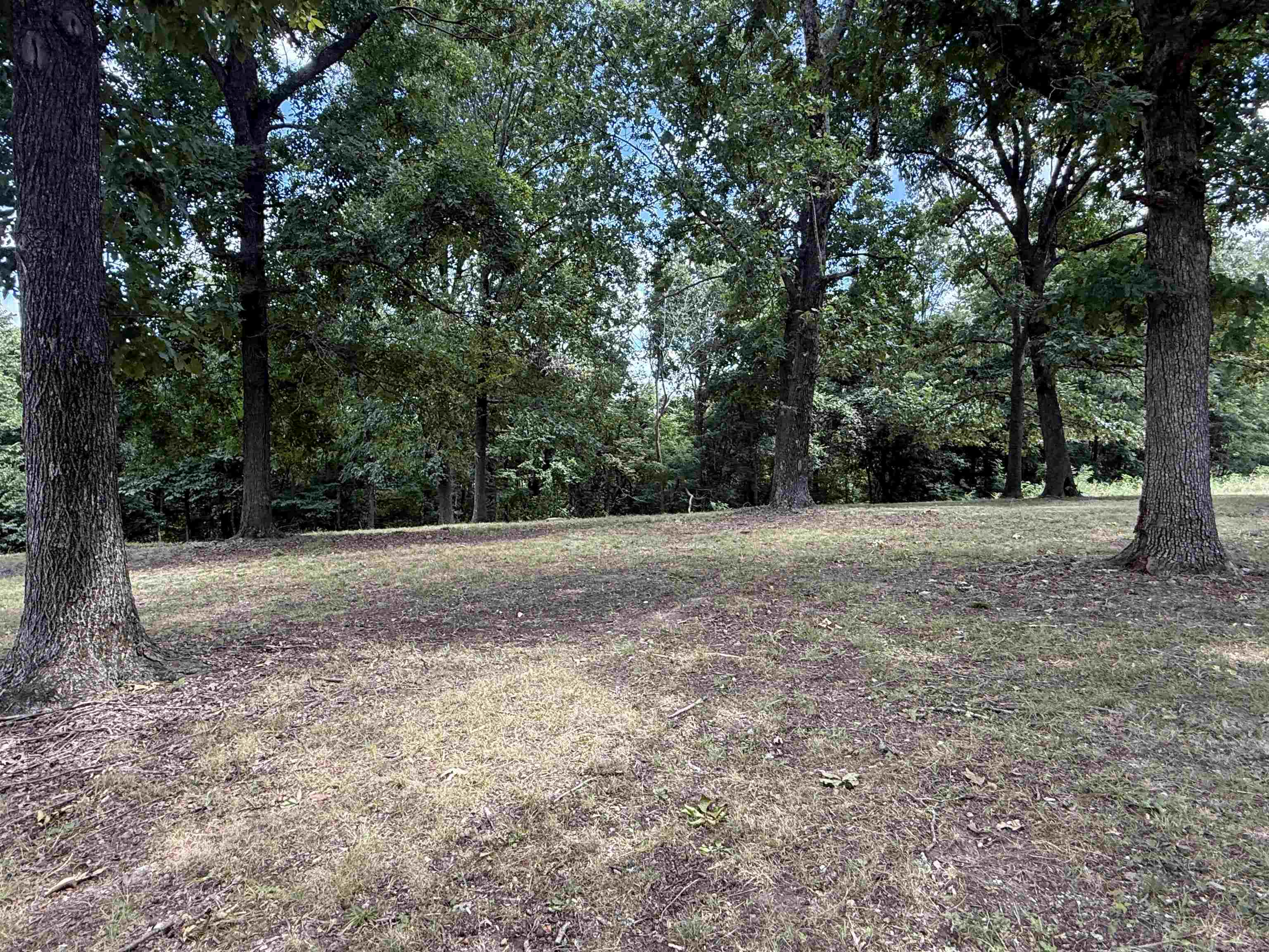 115A Love Hollow Road  Mount Pleasant, AR
