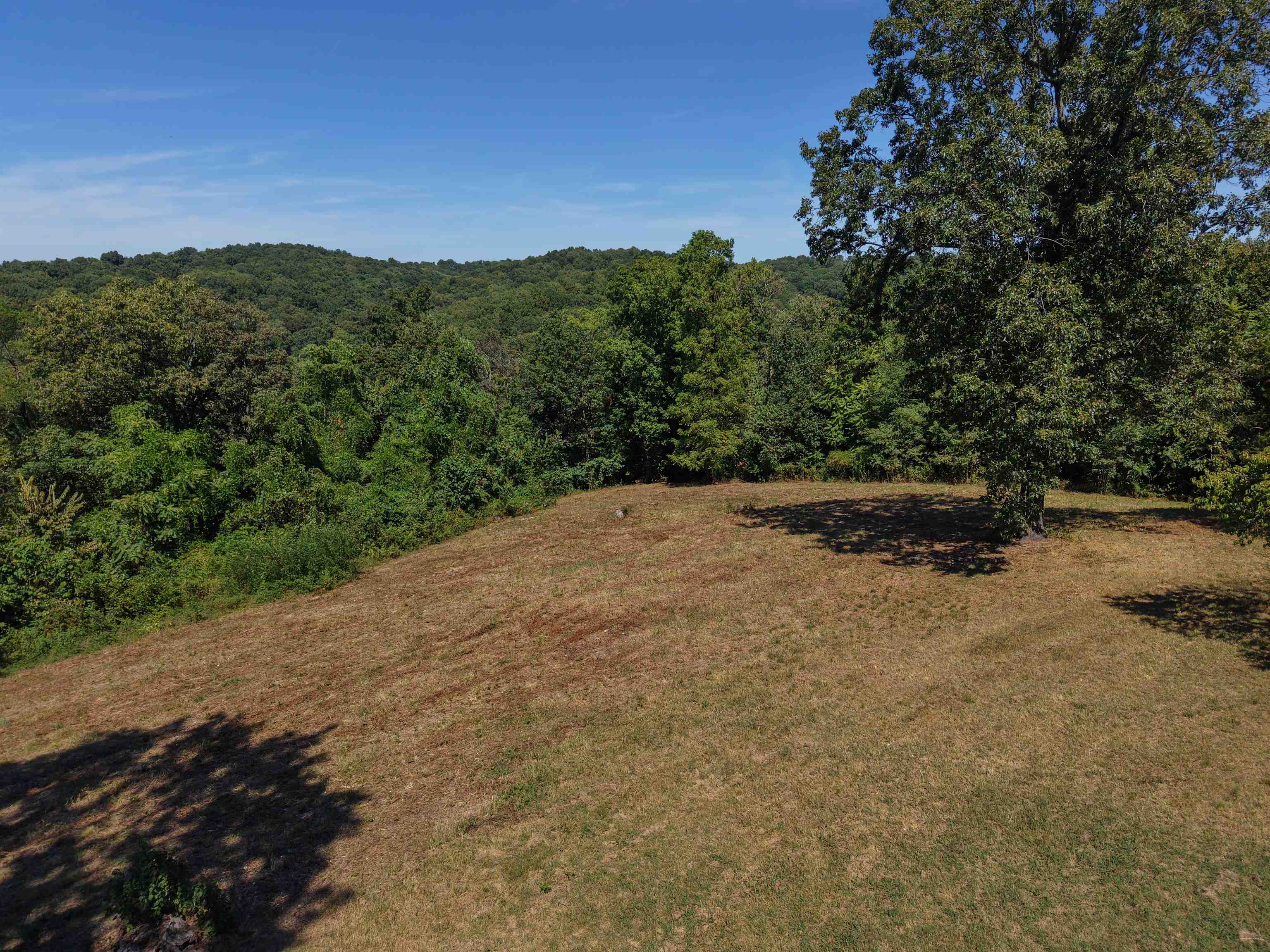 115A Love Hollow Road  Mount Pleasant, AR