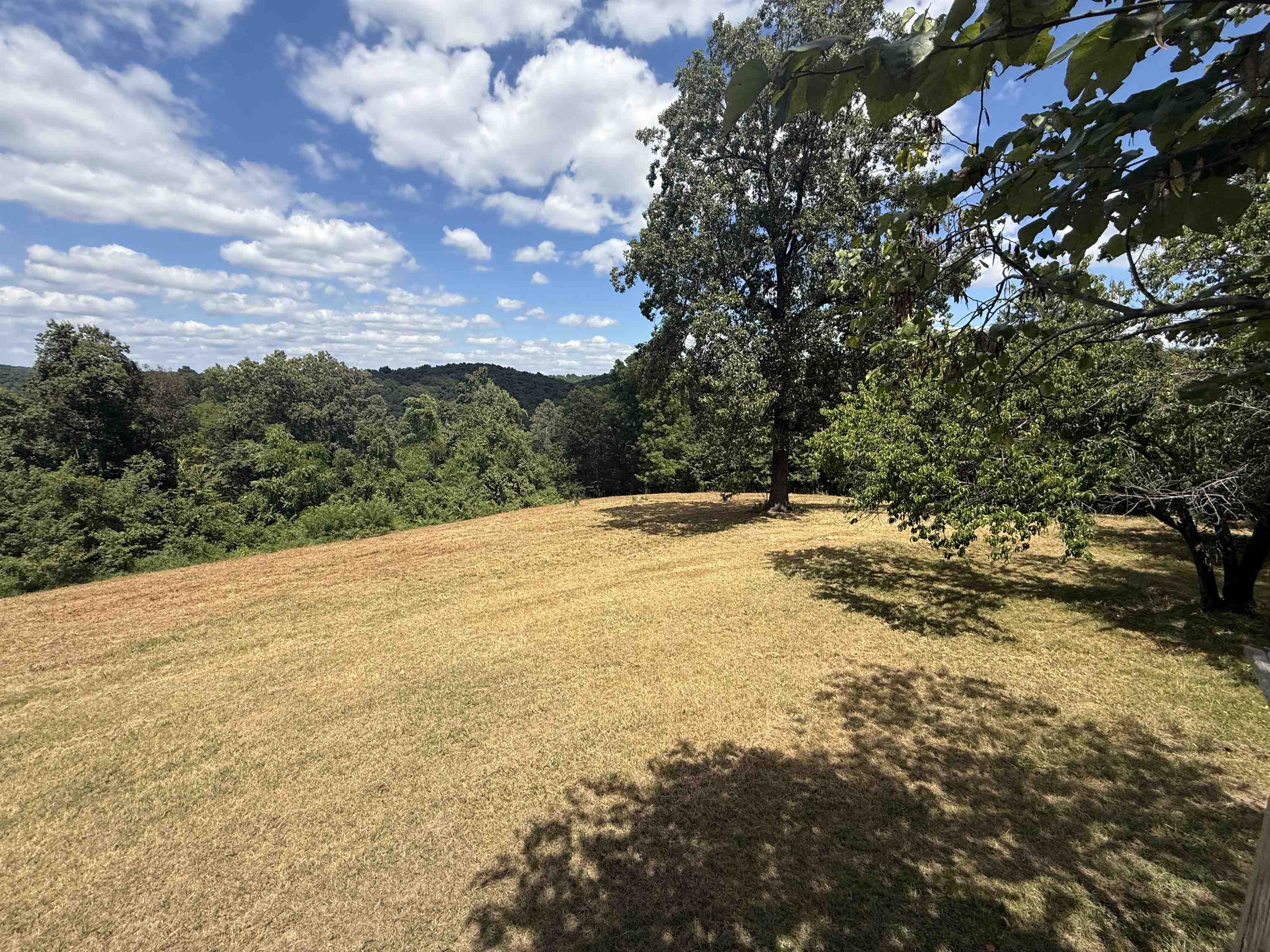 115A Love Hollow Road  Mount Pleasant, AR