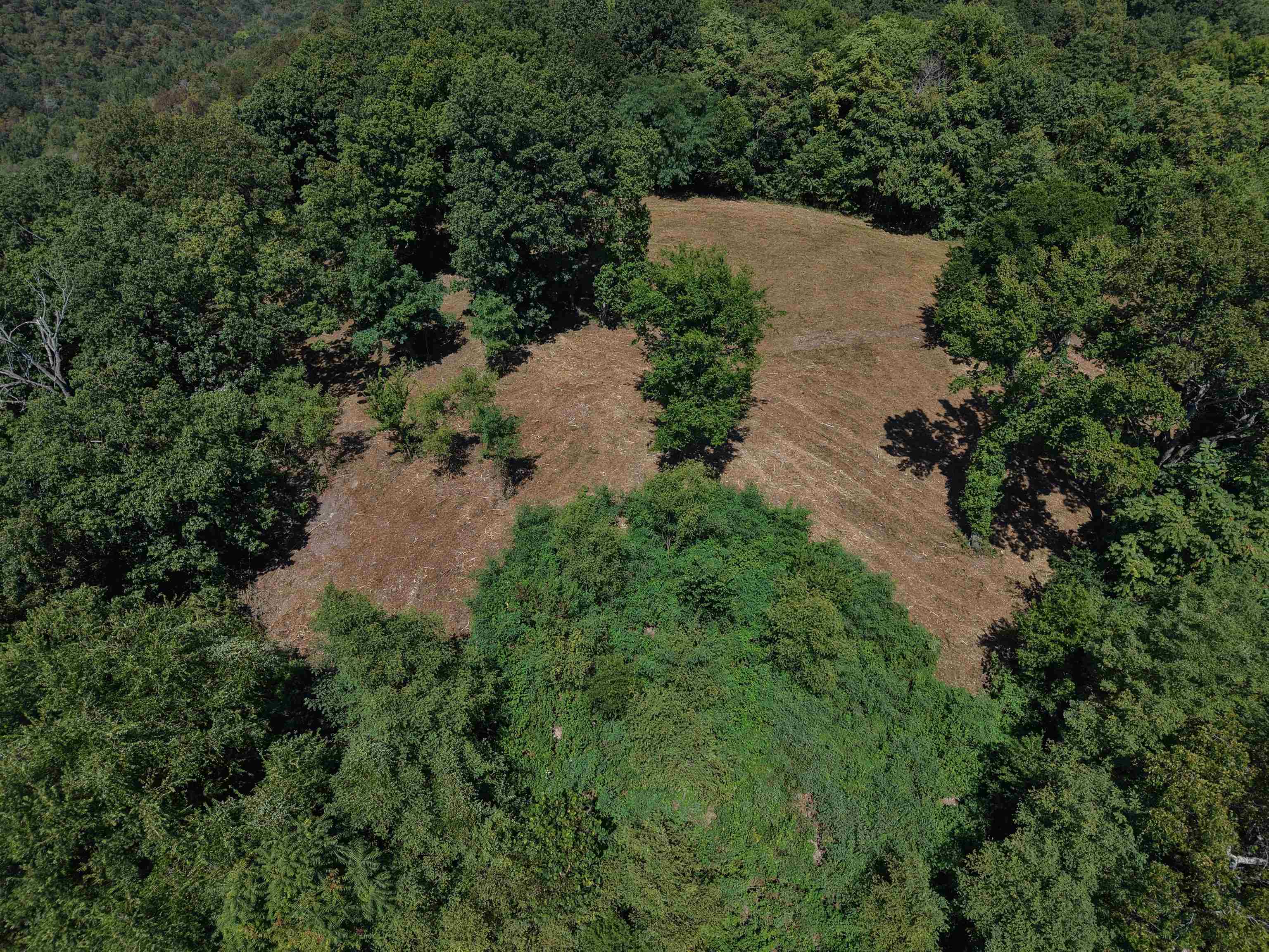 115A Love Hollow Road  Mount Pleasant, AR