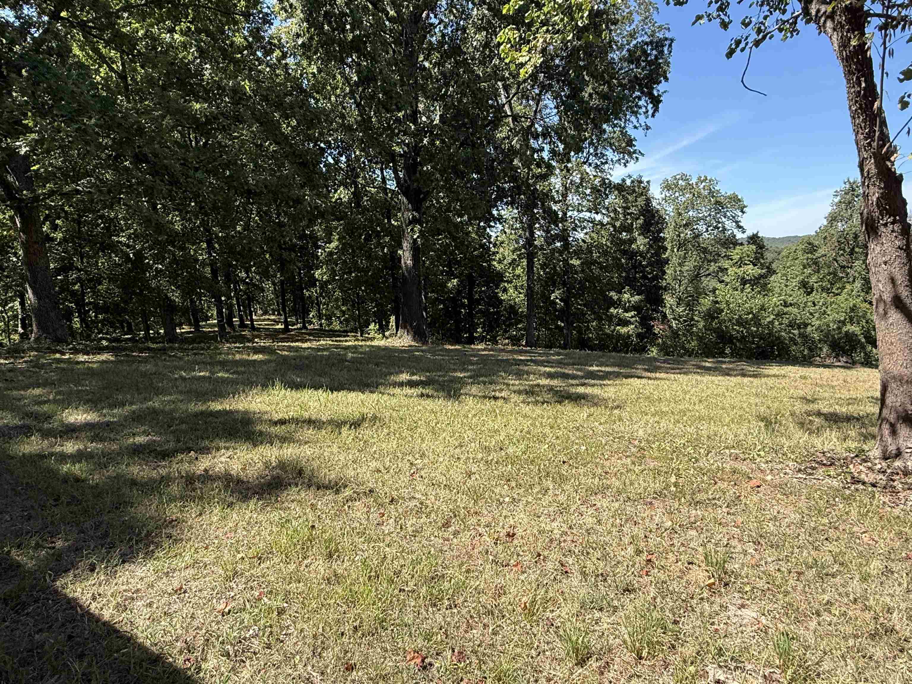 115A Love Hollow Road  Mount Pleasant, AR