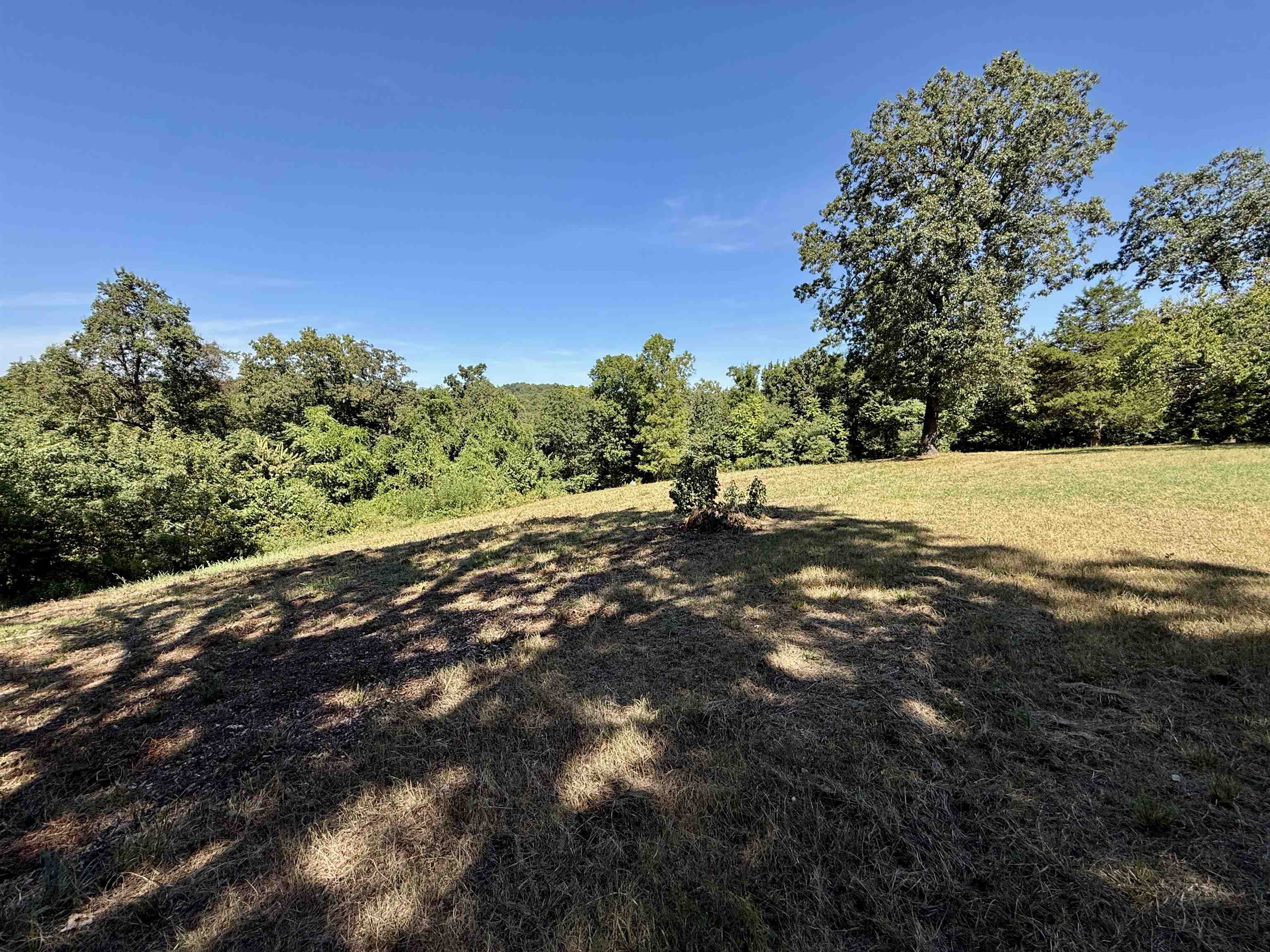 115A Love Hollow Road  Mount Pleasant, AR