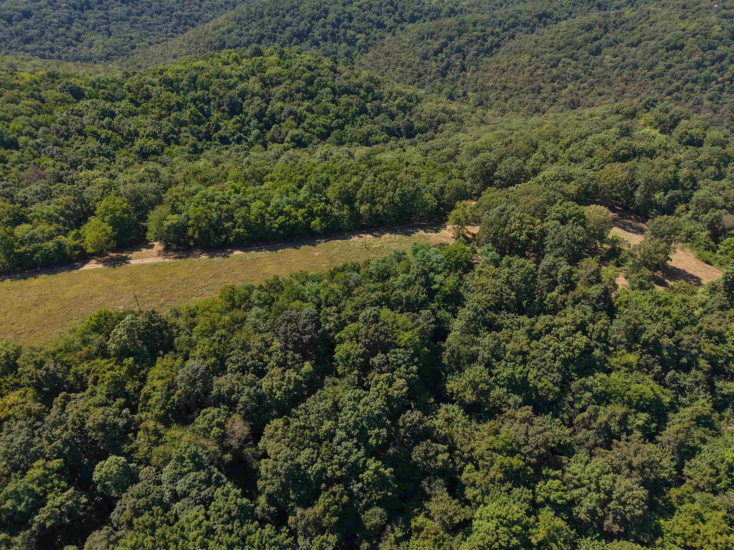 115A Love Hollow Road  Mount Pleasant, AR