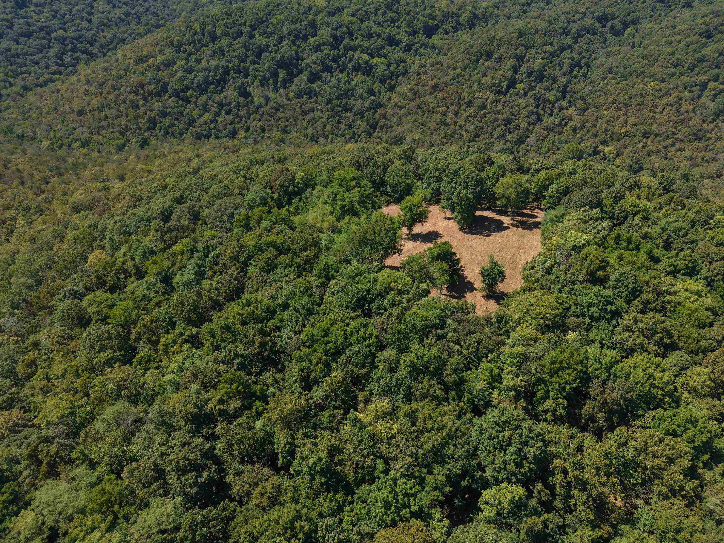 115A Love Hollow Road  Mount Pleasant, AR