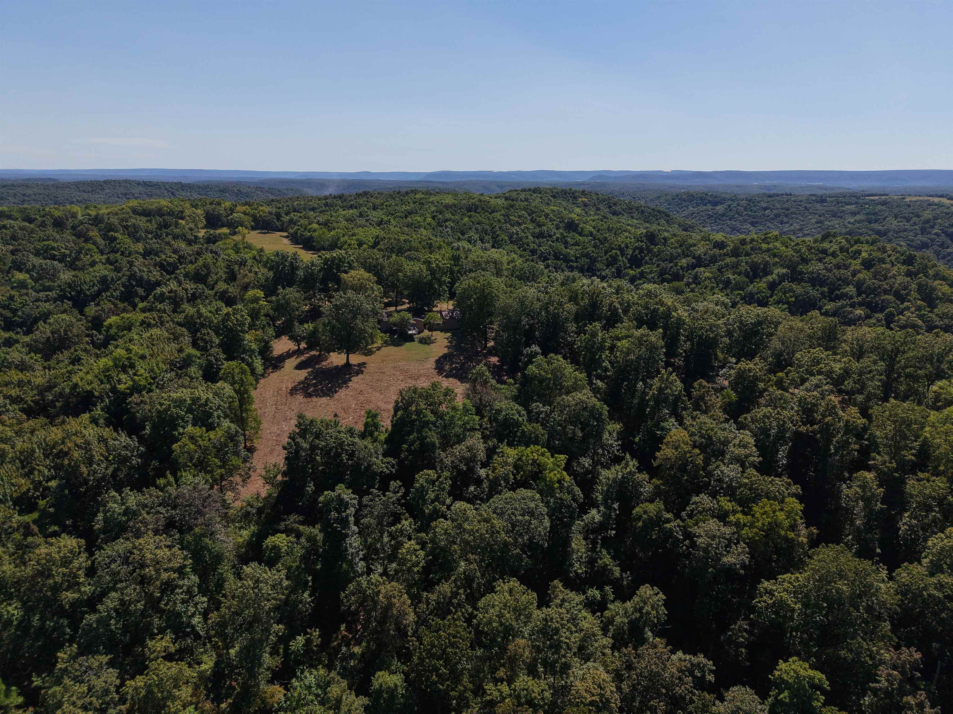 115A Love Hollow Road  Mount Pleasant, AR
