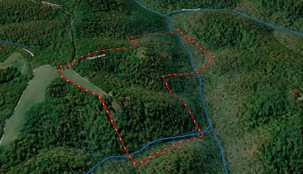 115A Love Hollow Road  Mount Pleasant, AR