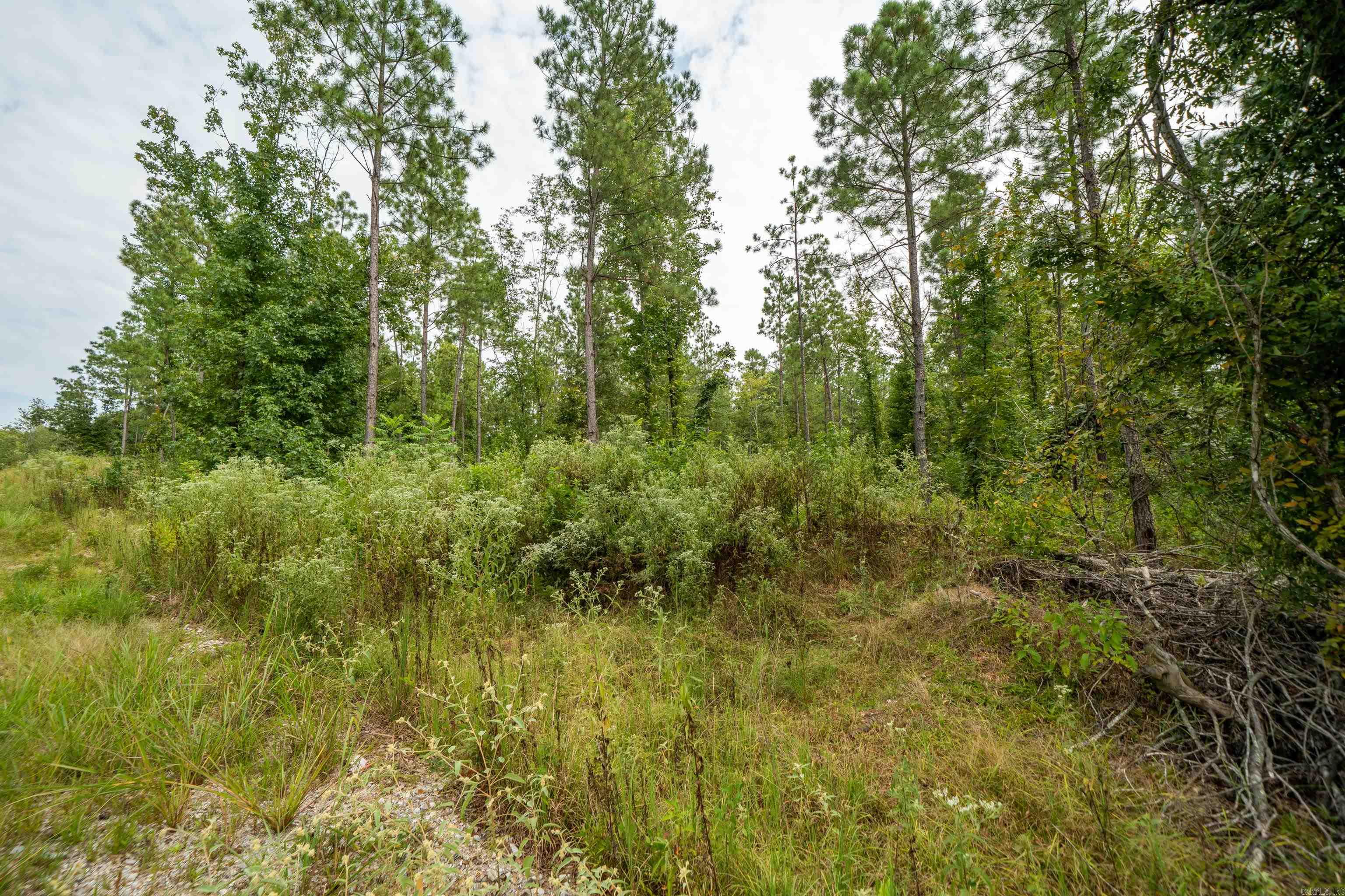  Seven Roses Lane  Lonsdale, AR