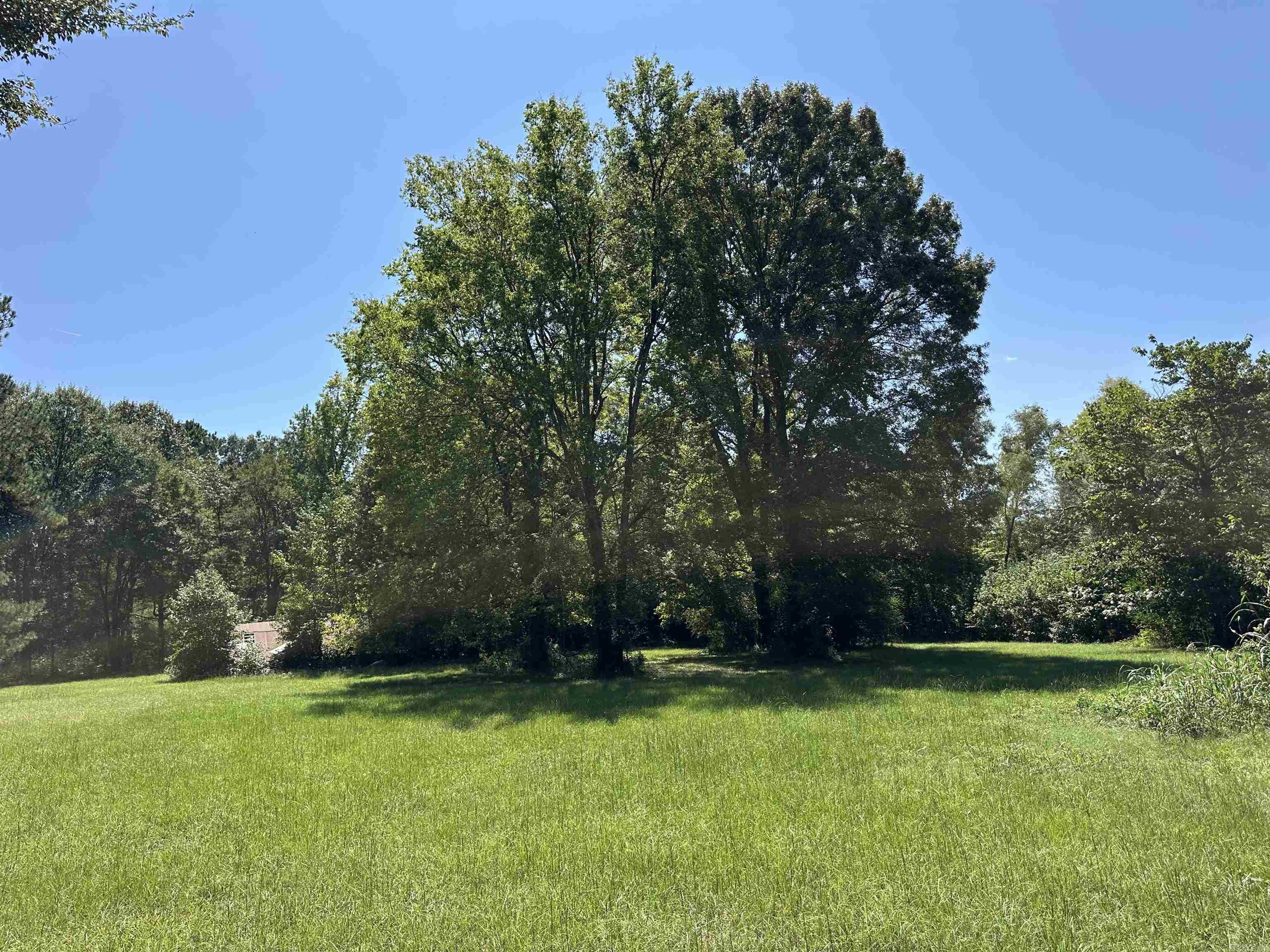 2313 AR-203  Bearden, AR