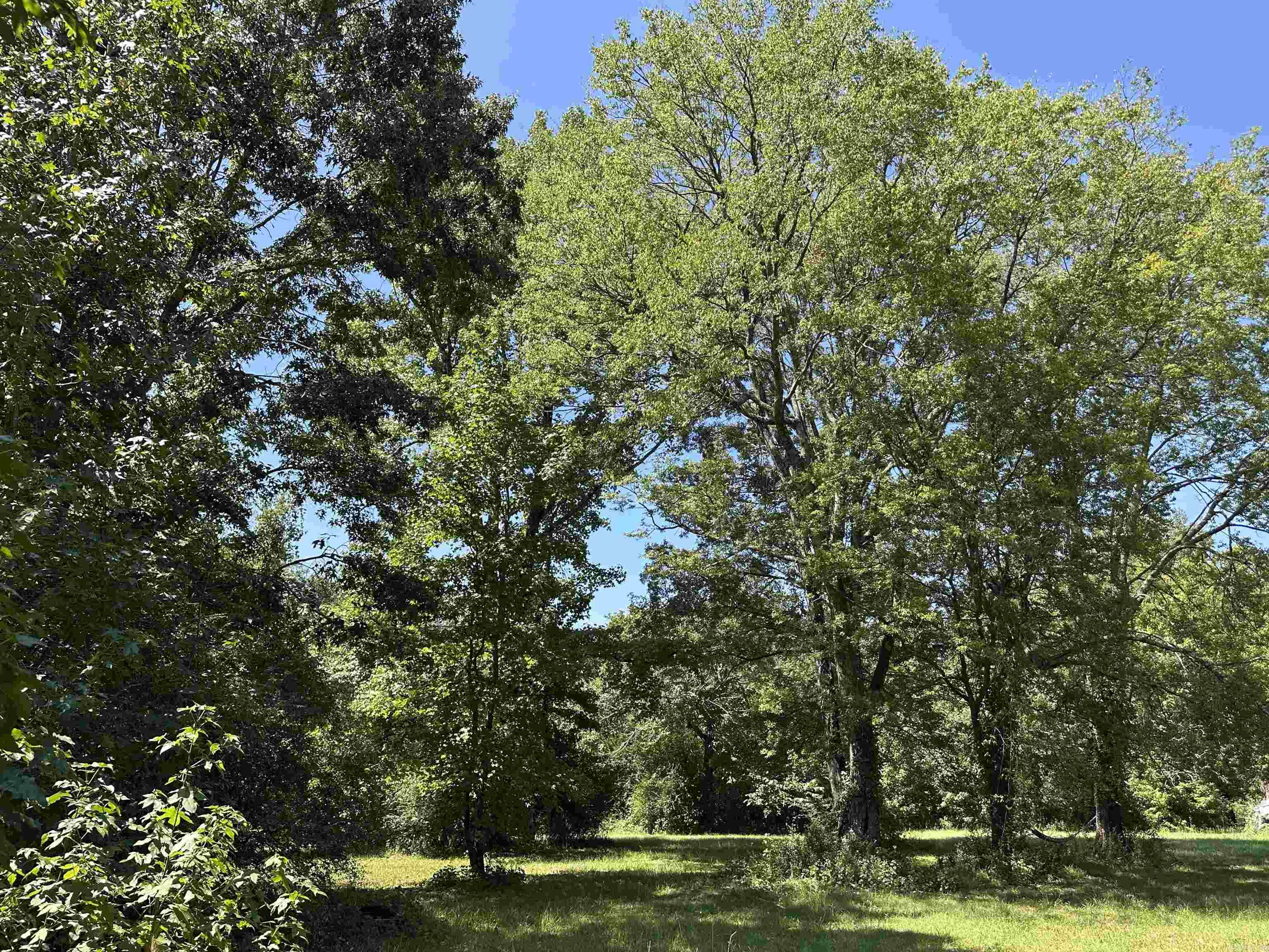 2313 AR-203  Bearden, AR