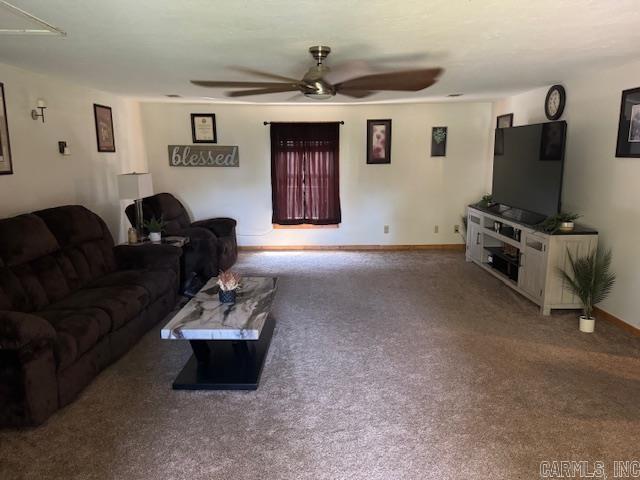 215 River Bridge  Biggers, AR