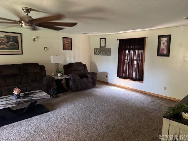 215 River Bridge  Biggers, AR