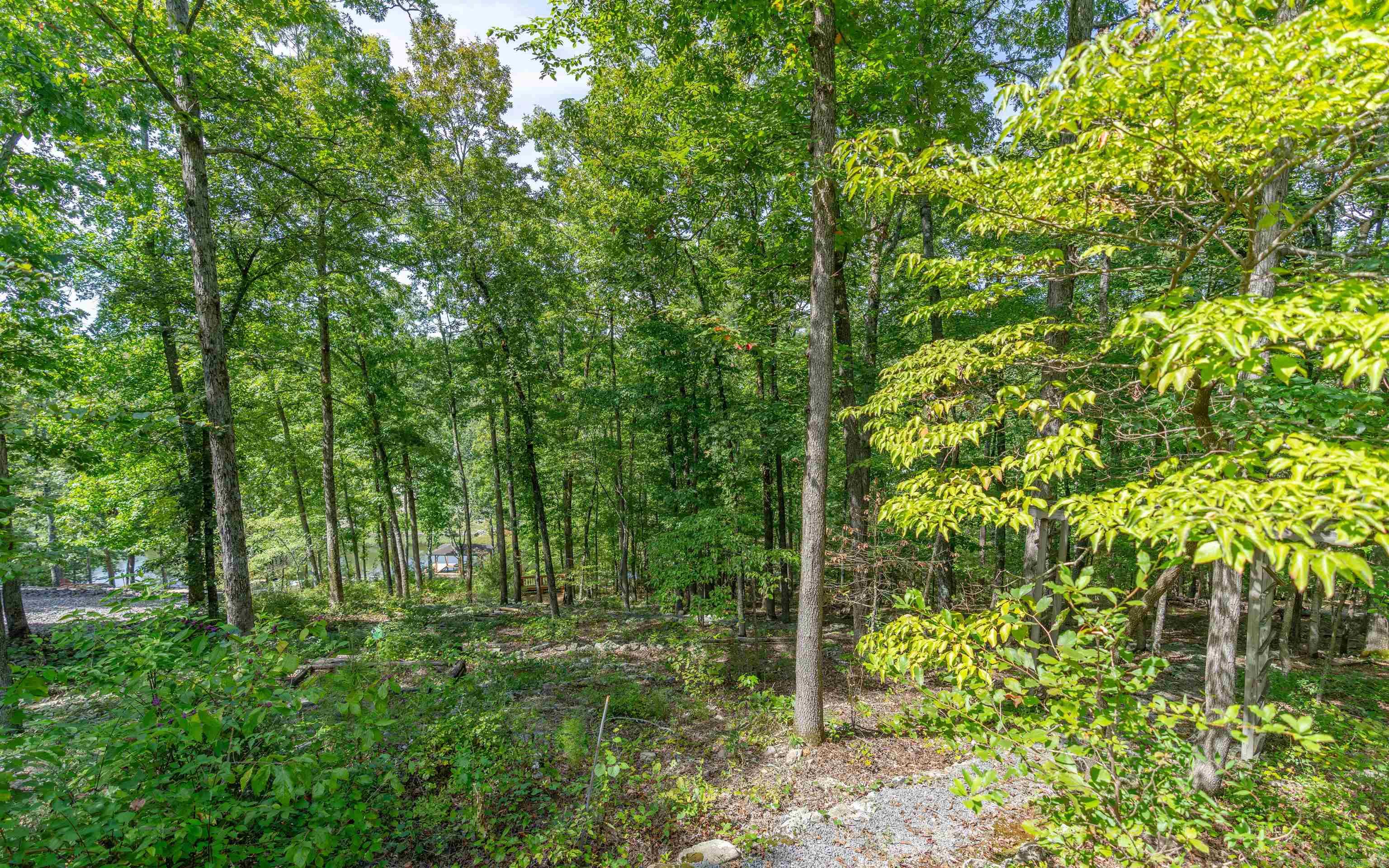 4 Salvatierra  Hot Springs Village, AR