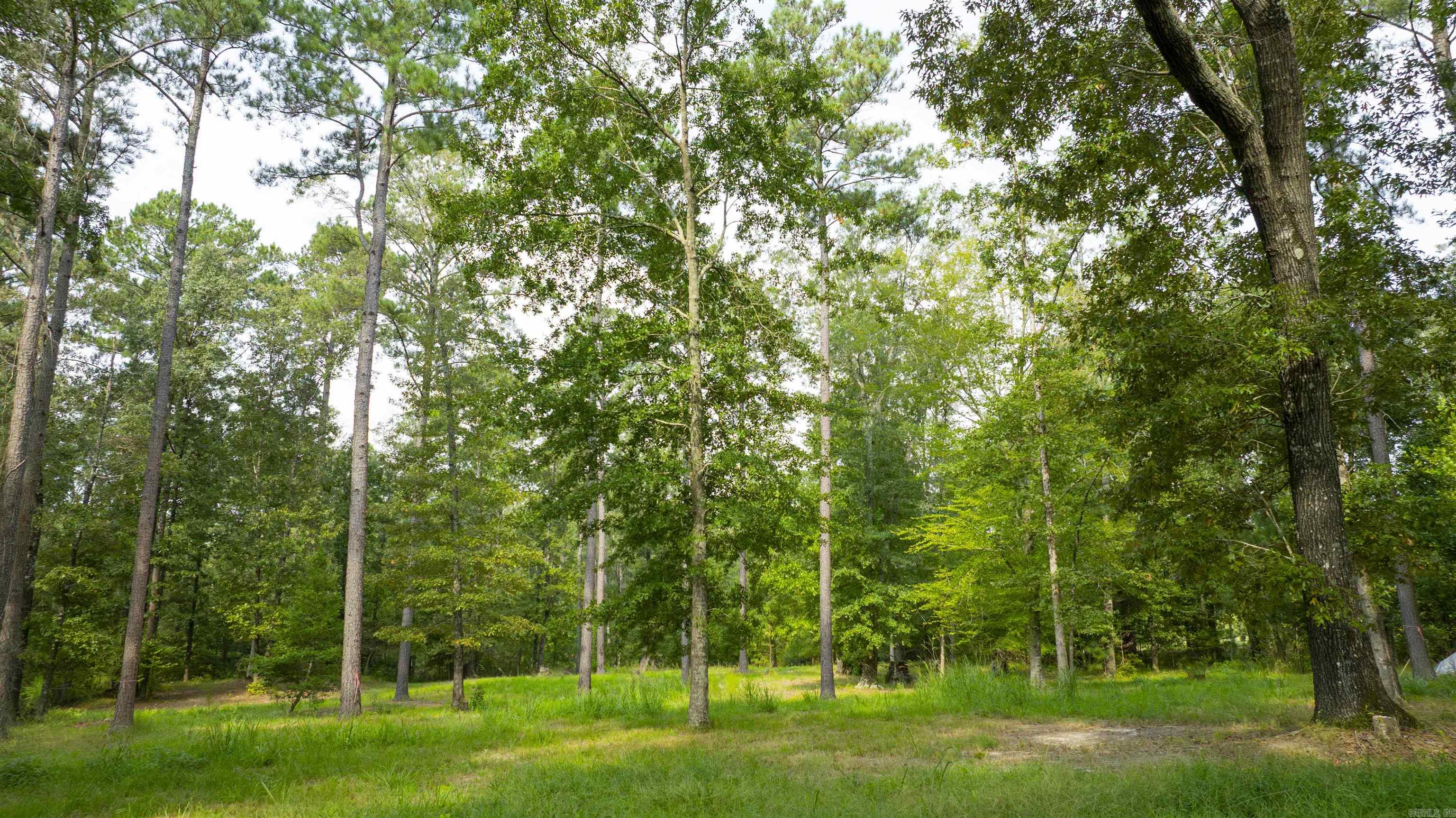 5 acres Dumas City Rd.  El Dorado, AR