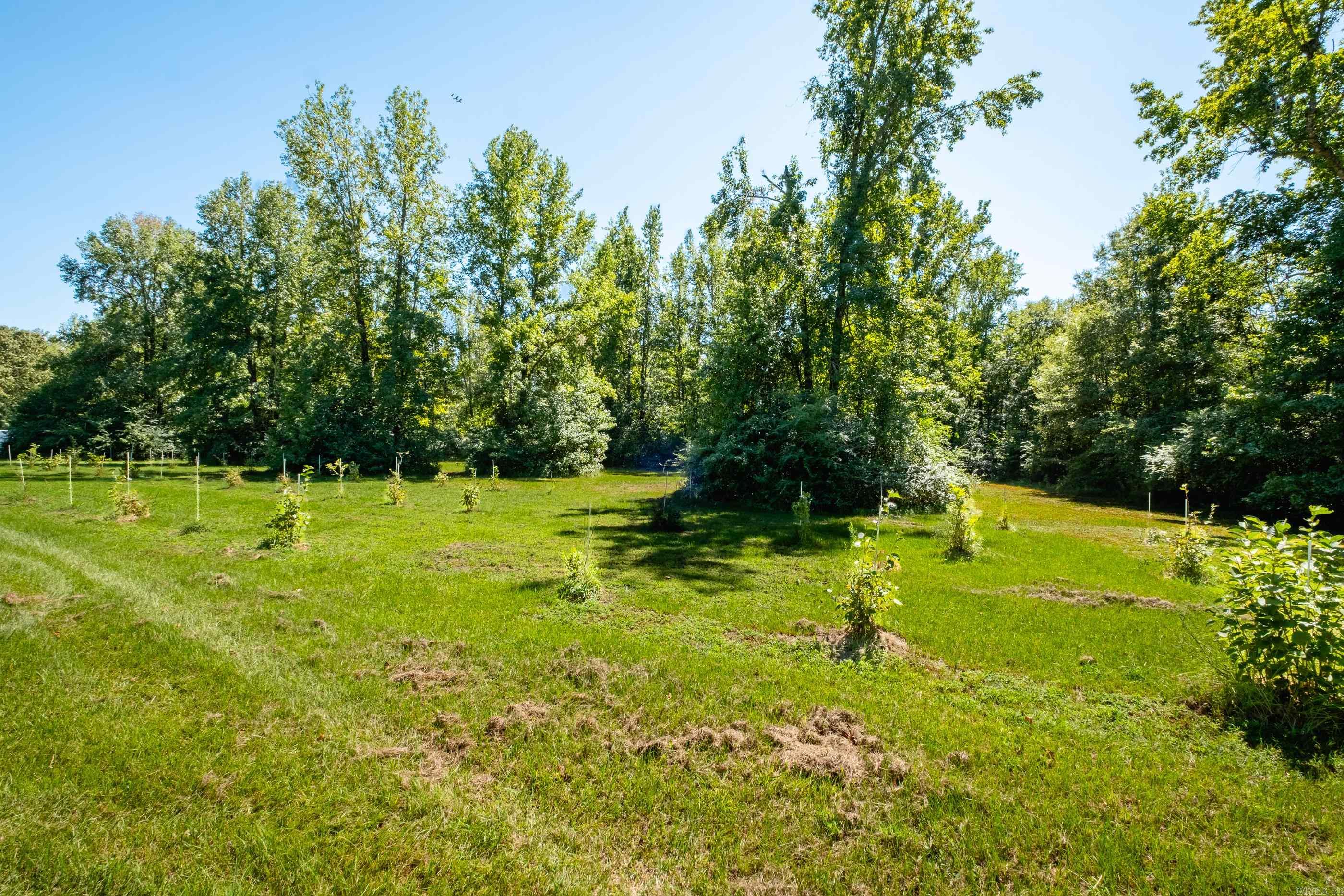 5402 Lynne  Jacksonville, AR