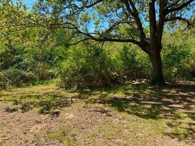 1091 Red River  Fox, AR