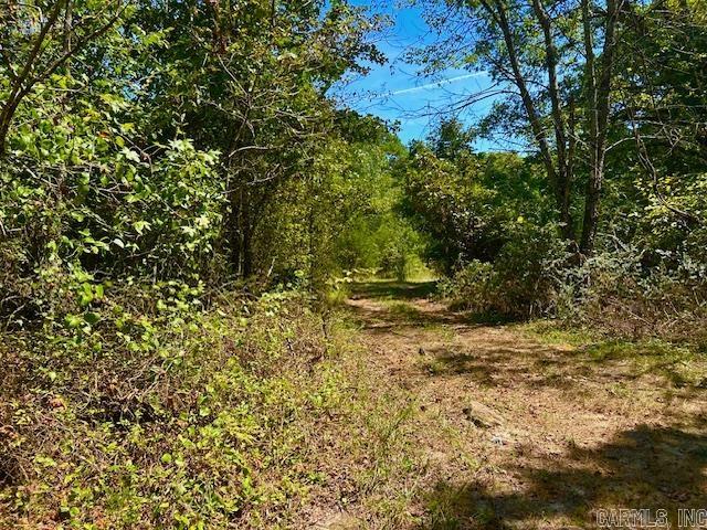 1091 Red River  Fox, AR