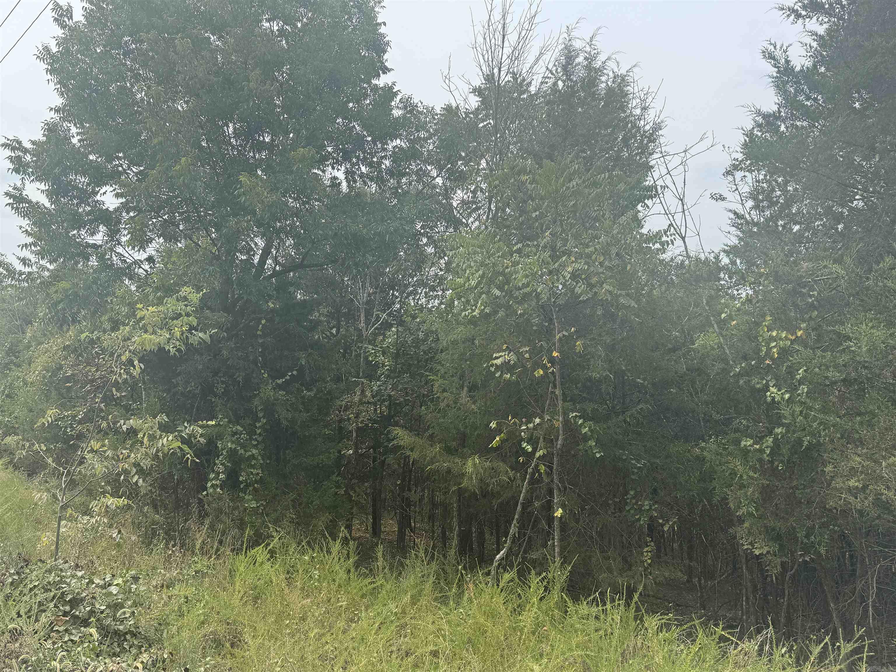 00 CR 38  Clarkridge, AR