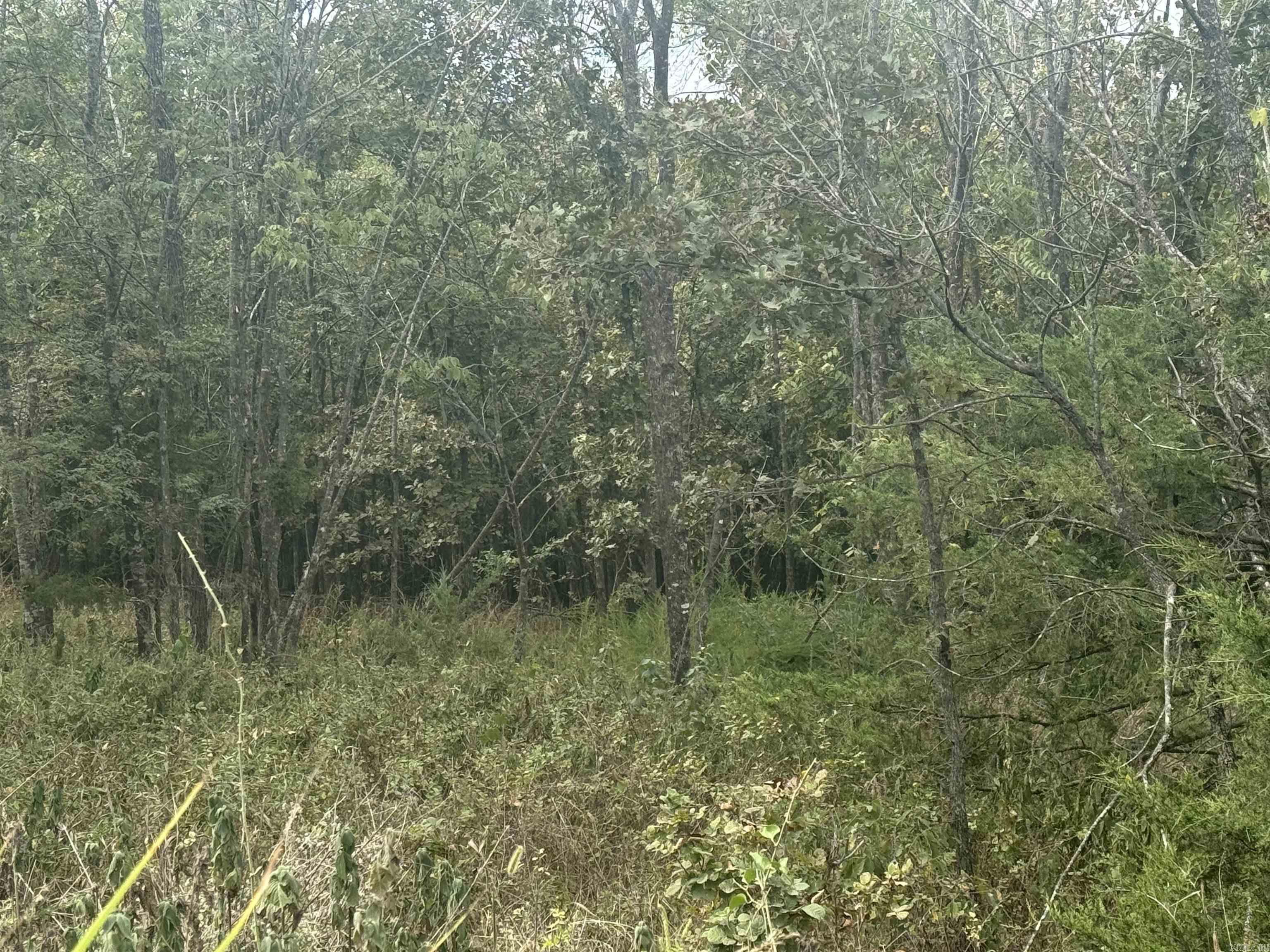 00 CR 38  Clarkridge, AR