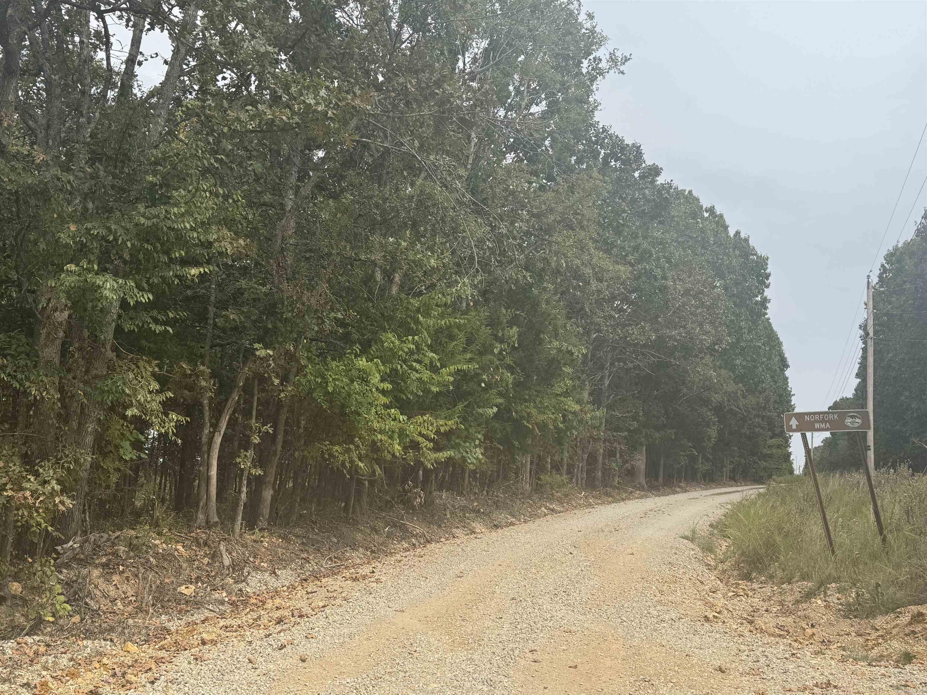 00 CR 38  Clarkridge, AR