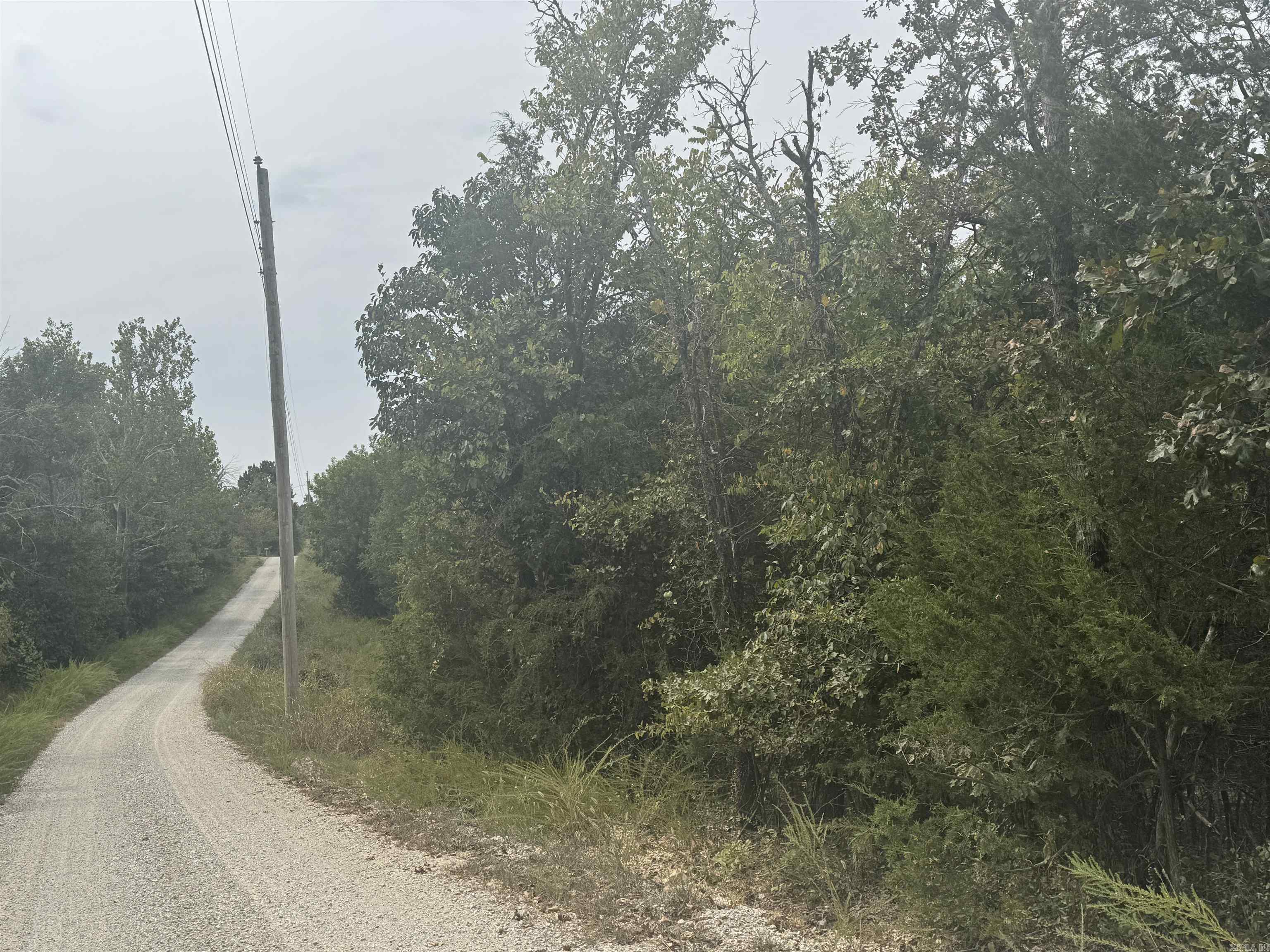 00 CR 38  Clarkridge, AR