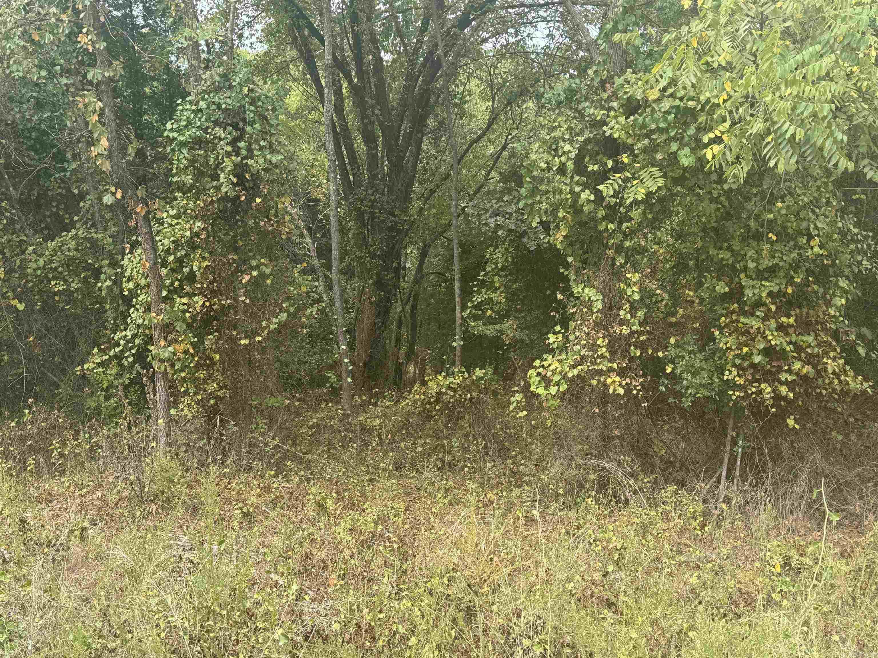 00 CR 38  Clarkridge, AR