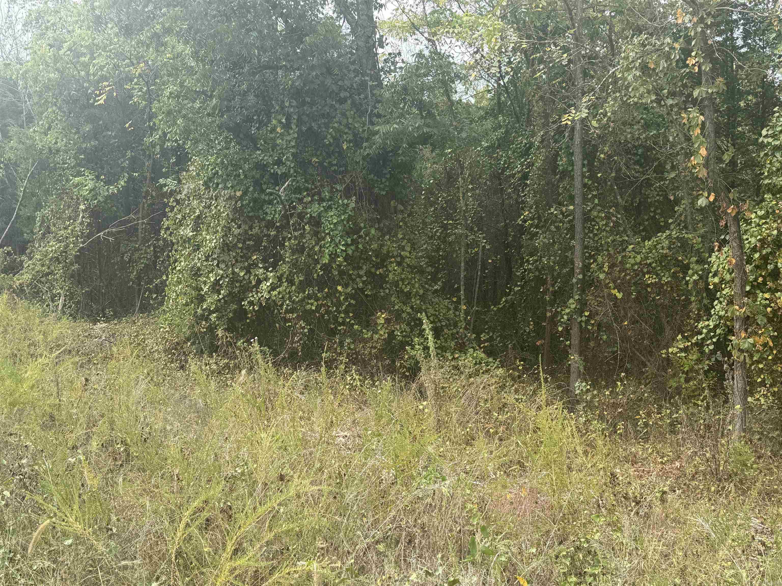 00 CR 38  Clarkridge, AR