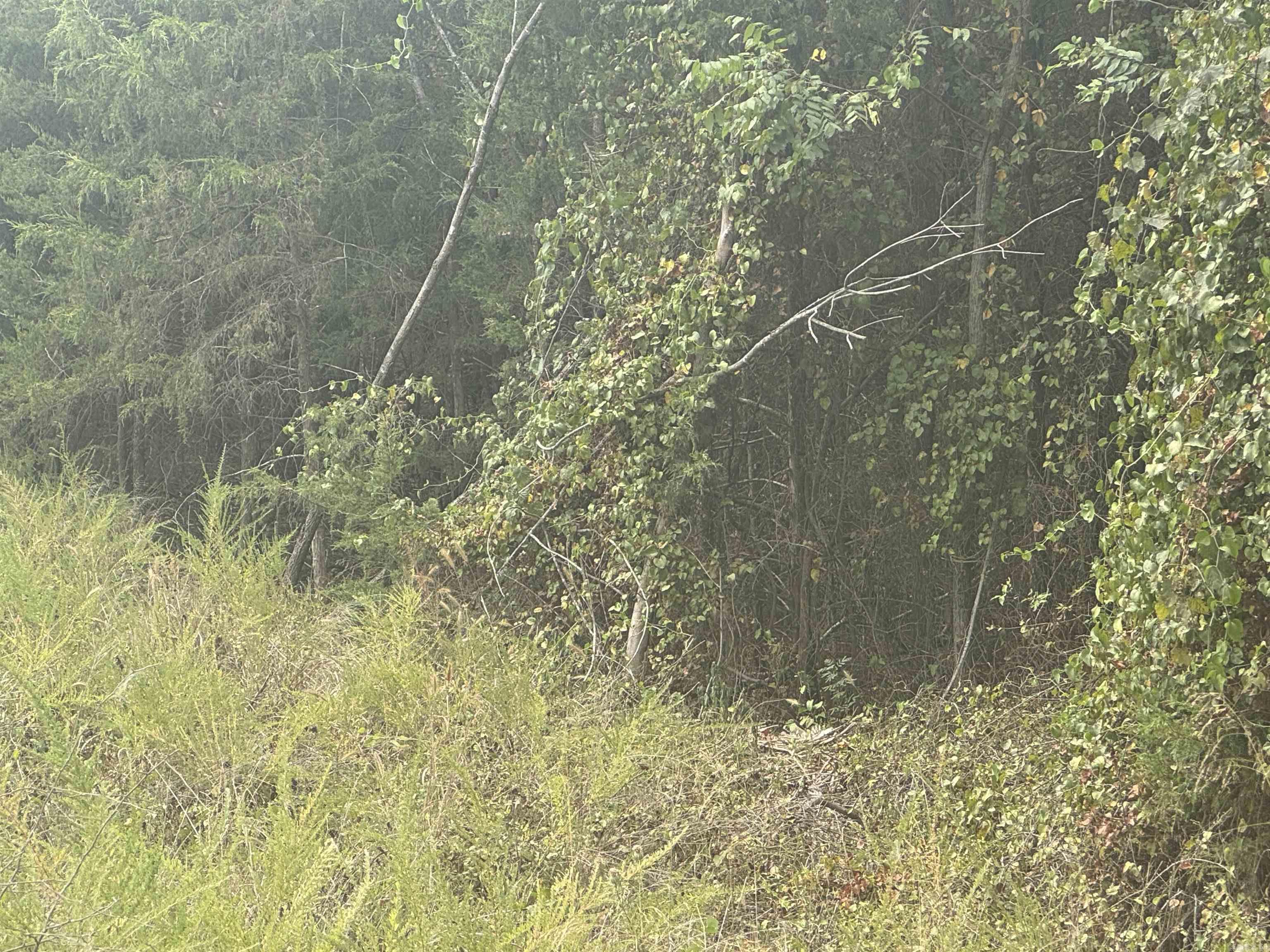 00 CR 38  Clarkridge, AR