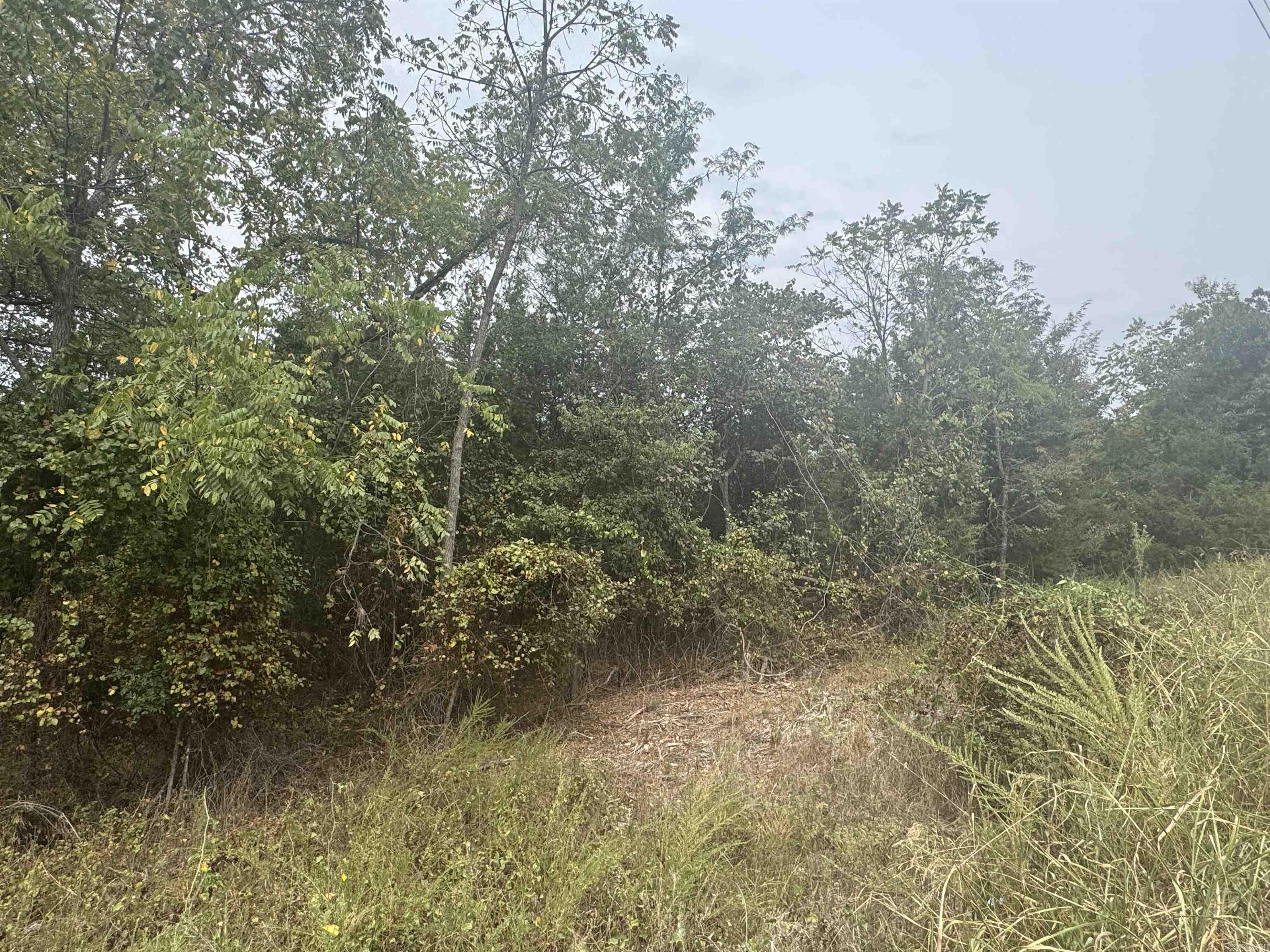 00 CR 38  Clarkridge, AR