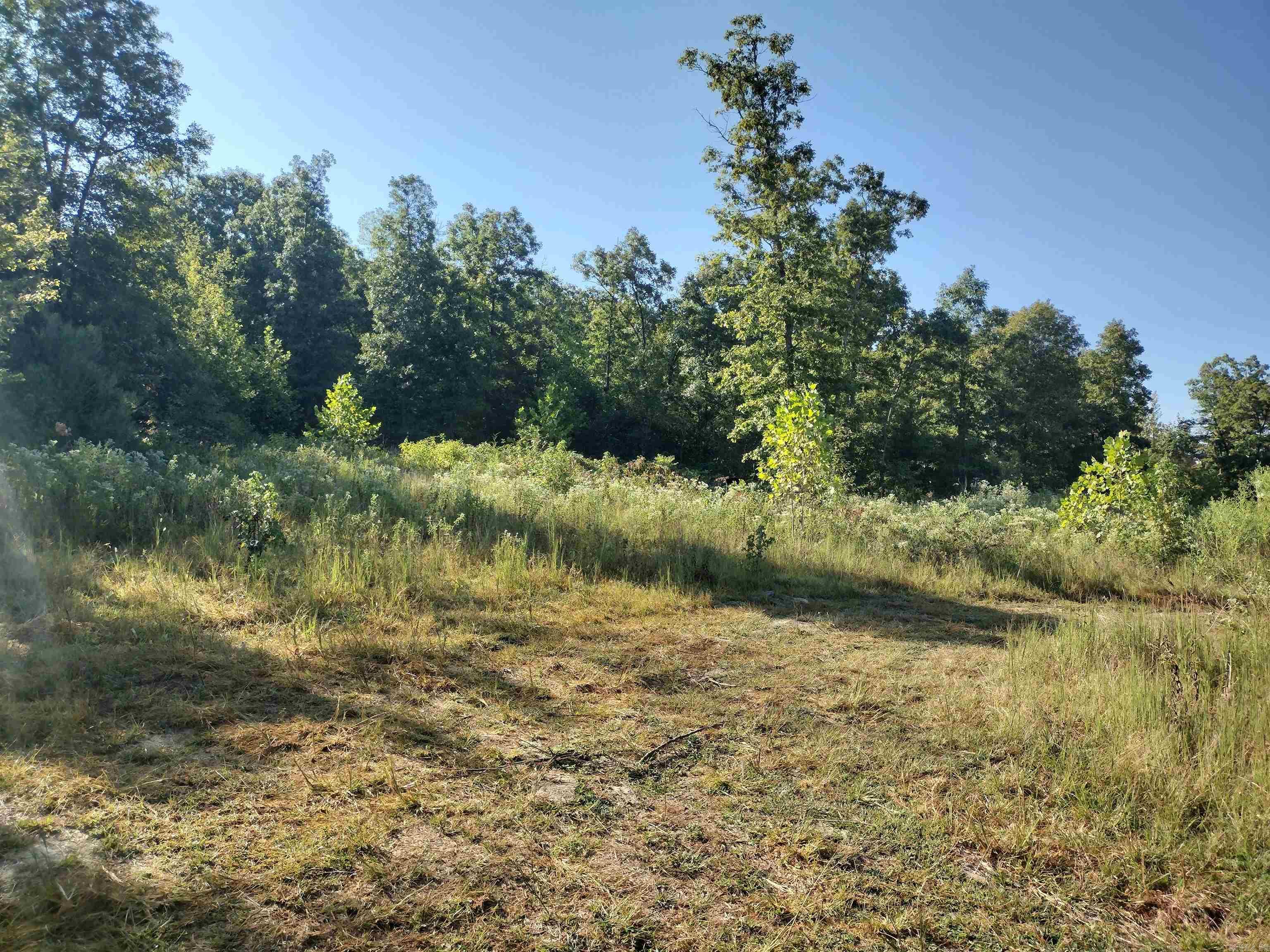 902 Monahan RD  Mountain View, AR