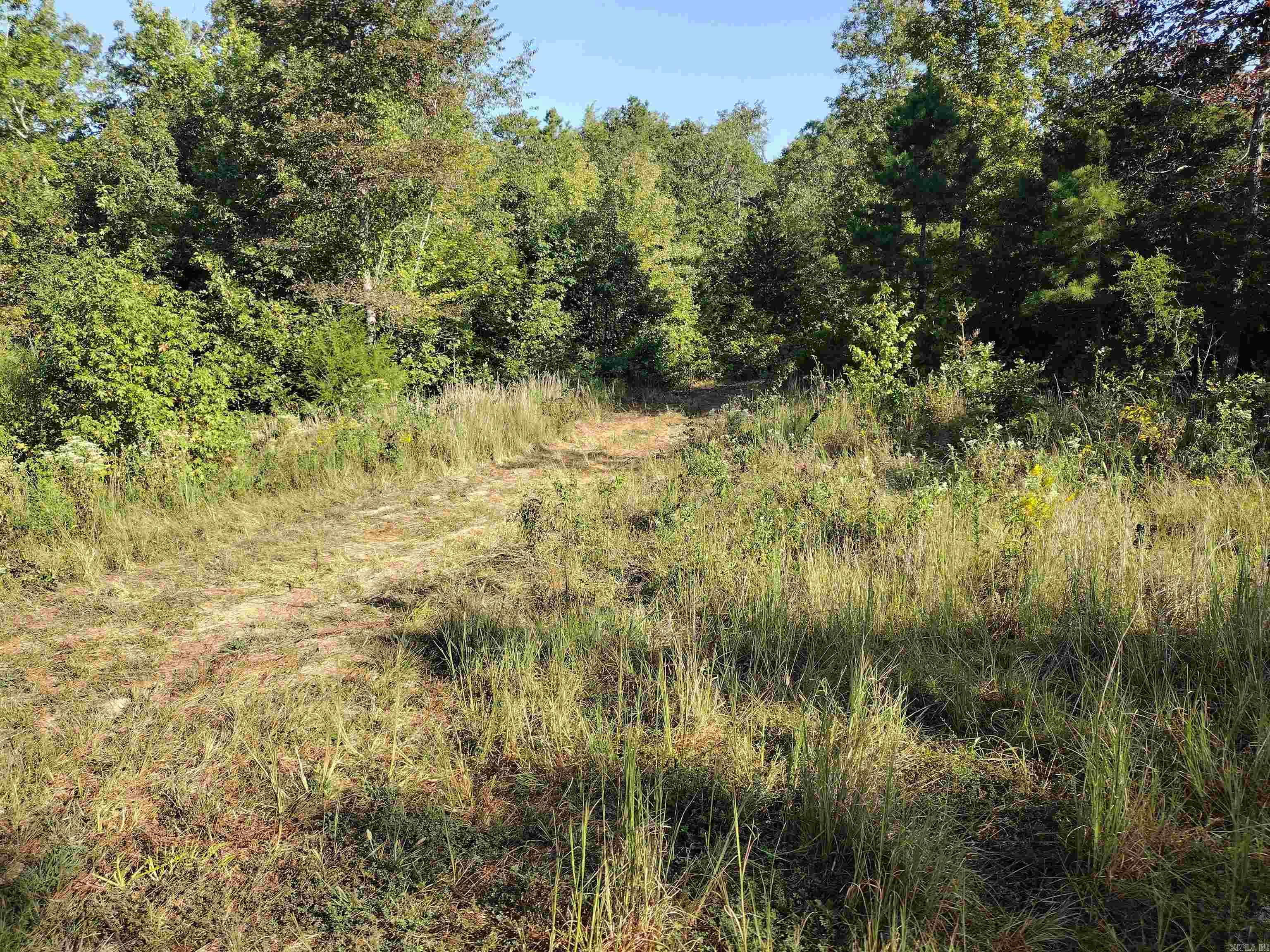 902 Monahan RD  Mountain View, AR