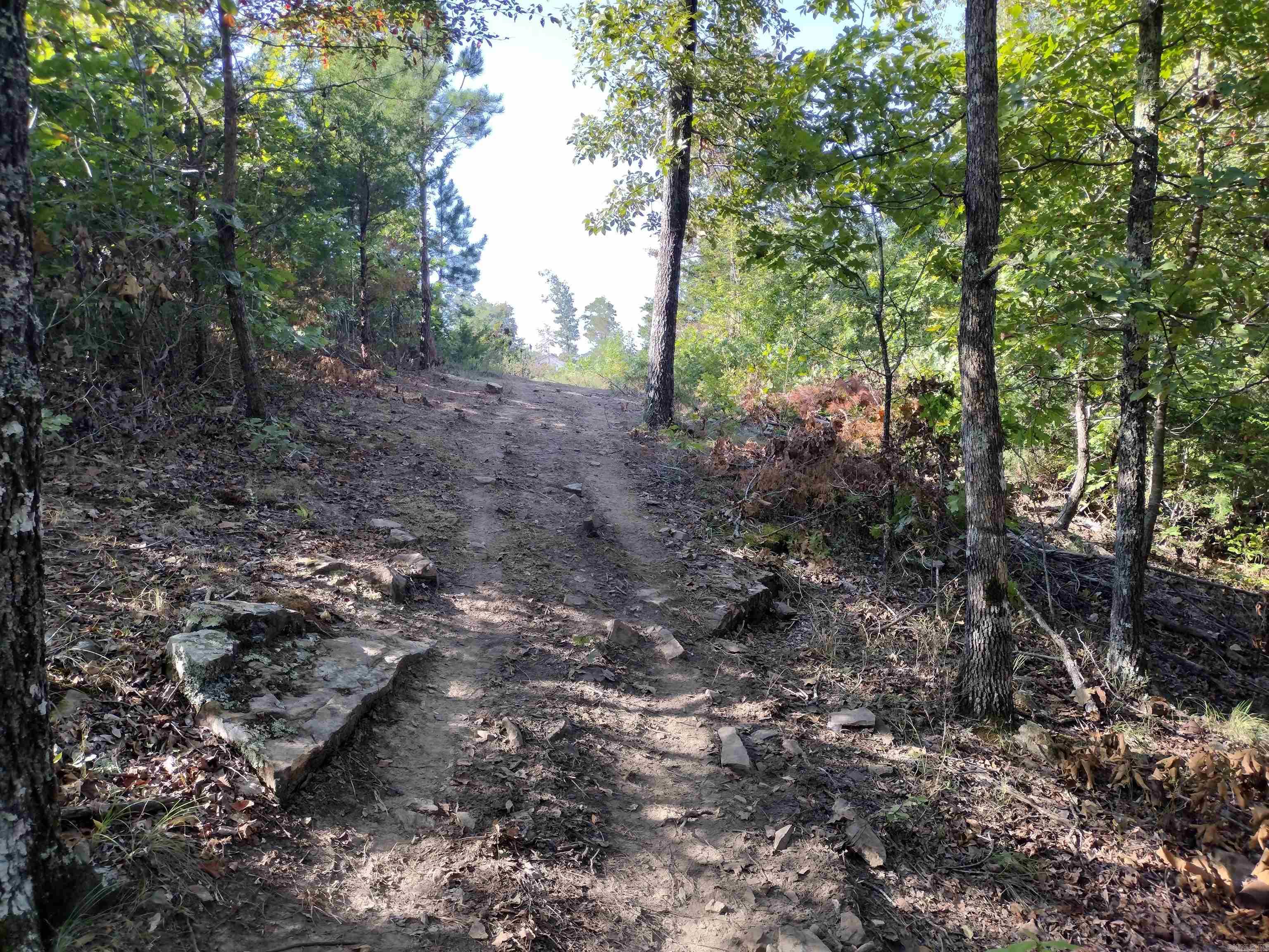 902 Monahan RD  Mountain View, AR