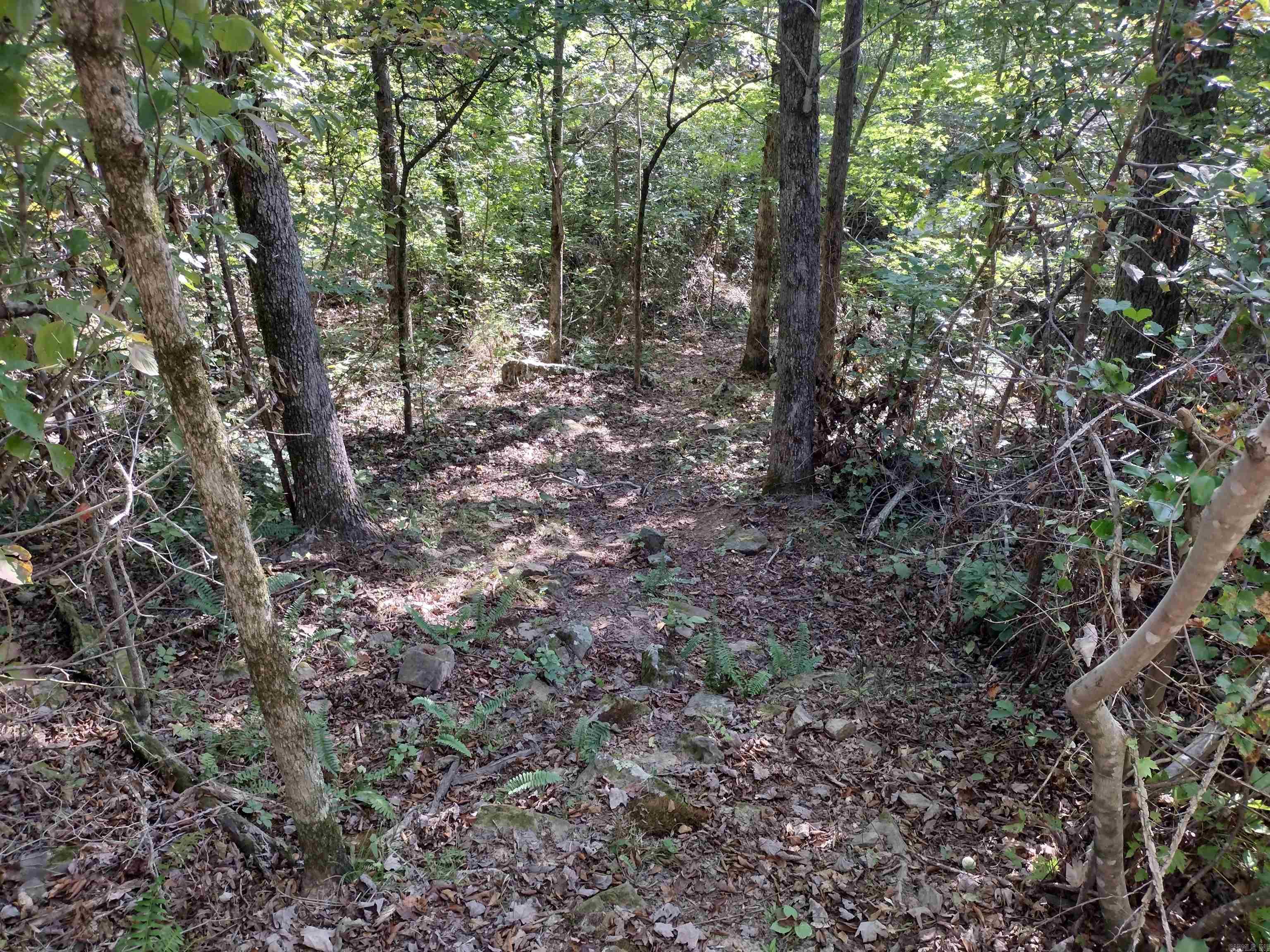902 Monahan RD  Mountain View, AR